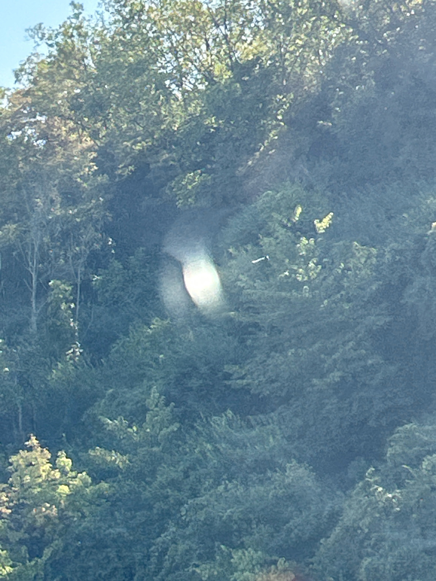 The image depicts a dense forest scene with varying shades of green foliage under a bright sky. A distinct, blurry light flare is present in the center of the frame, obscuring some of the trees. Several thin tree trunks are visible amidst the greenery. The environment appears natural and undeveloped, suggesting a location within a wooded area. There are no discernible people or objects that would indicate a specific urban or suburban setting within Robinson Township, United States of America, beyond the presence of trees and the sky.