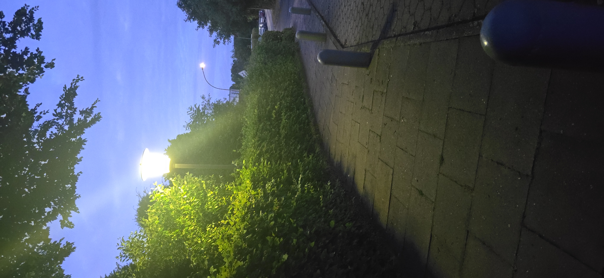 The image depicts a paved pathway curving to the left, bordered by a dense, green hedge on the left and a road on the right. A streetlamp with a bright, warm light illuminates the hedge and pathway. The sky above is a deep twilight blue with scattered clouds, and tree branches with leaves overhang the top of the frame. Several rounded bollards are visible along the edge of the pathway on the right. In the background, there is a street with parked cars and additional trees. The scene appears to be an outdoor public space, possibly a park or a residential street, in Seevetal, Germany, given the presence of street lighting and typical European urban vegetation. There are no people visible in the image.