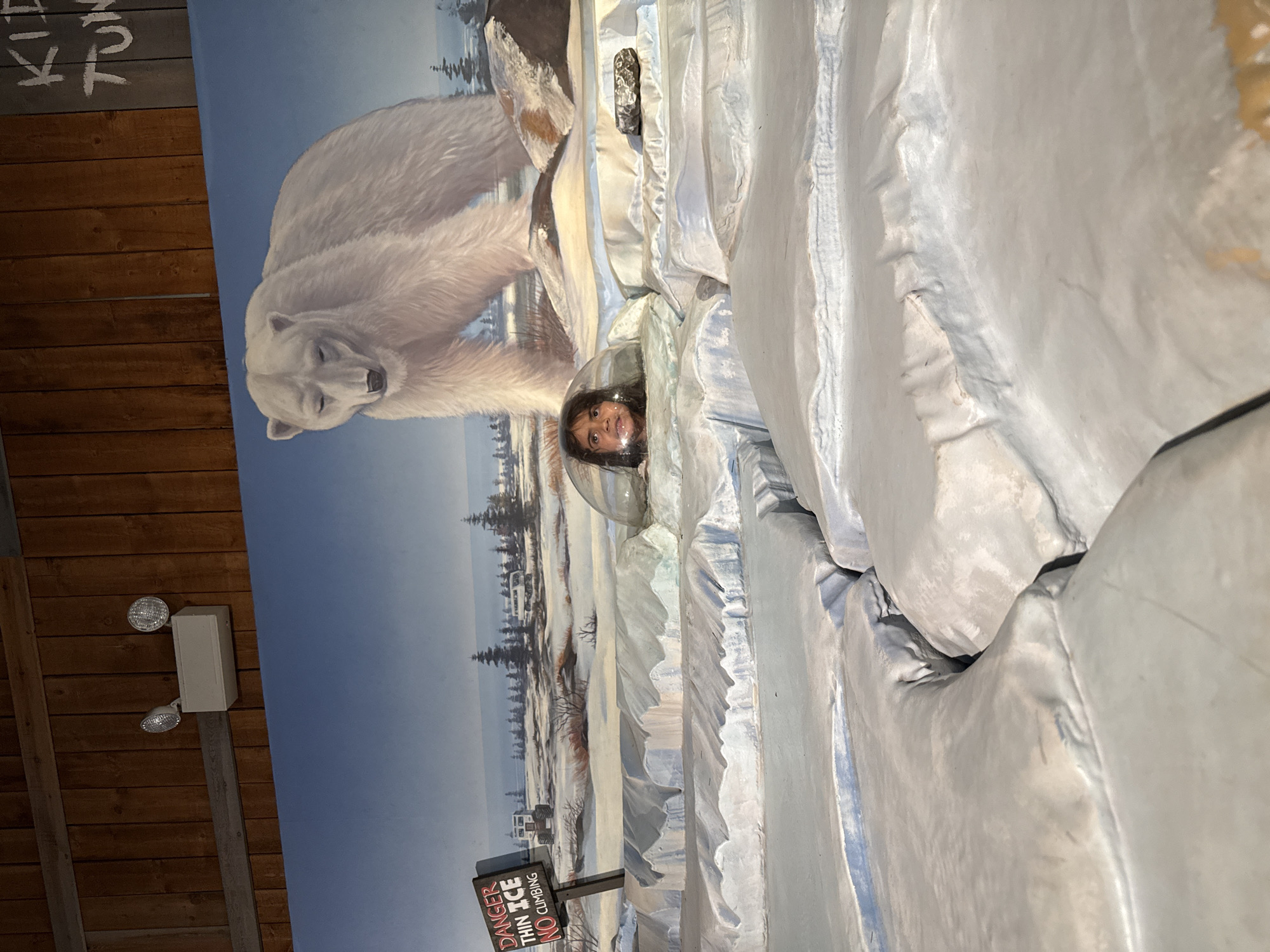 A vertical photograph depicts a child with dark hair and eyes positioned inside a clear dome. The dome is set within a display designed to simulate an arctic environment. The backdrop consists of a mural featuring a polar bear in a snowy landscape with mountains and trees. In front of the mural, there are three-dimensional elements that resemble ice formations.
To the left, the wall appears to be made of dark-stained wood, on which a light fixture is affixed. A sign reading "DANGER THIN ICE NO CLIMBING" is visible at the bottom of the display.
Based on the available information, the location is identified as Powell, United States of America.
