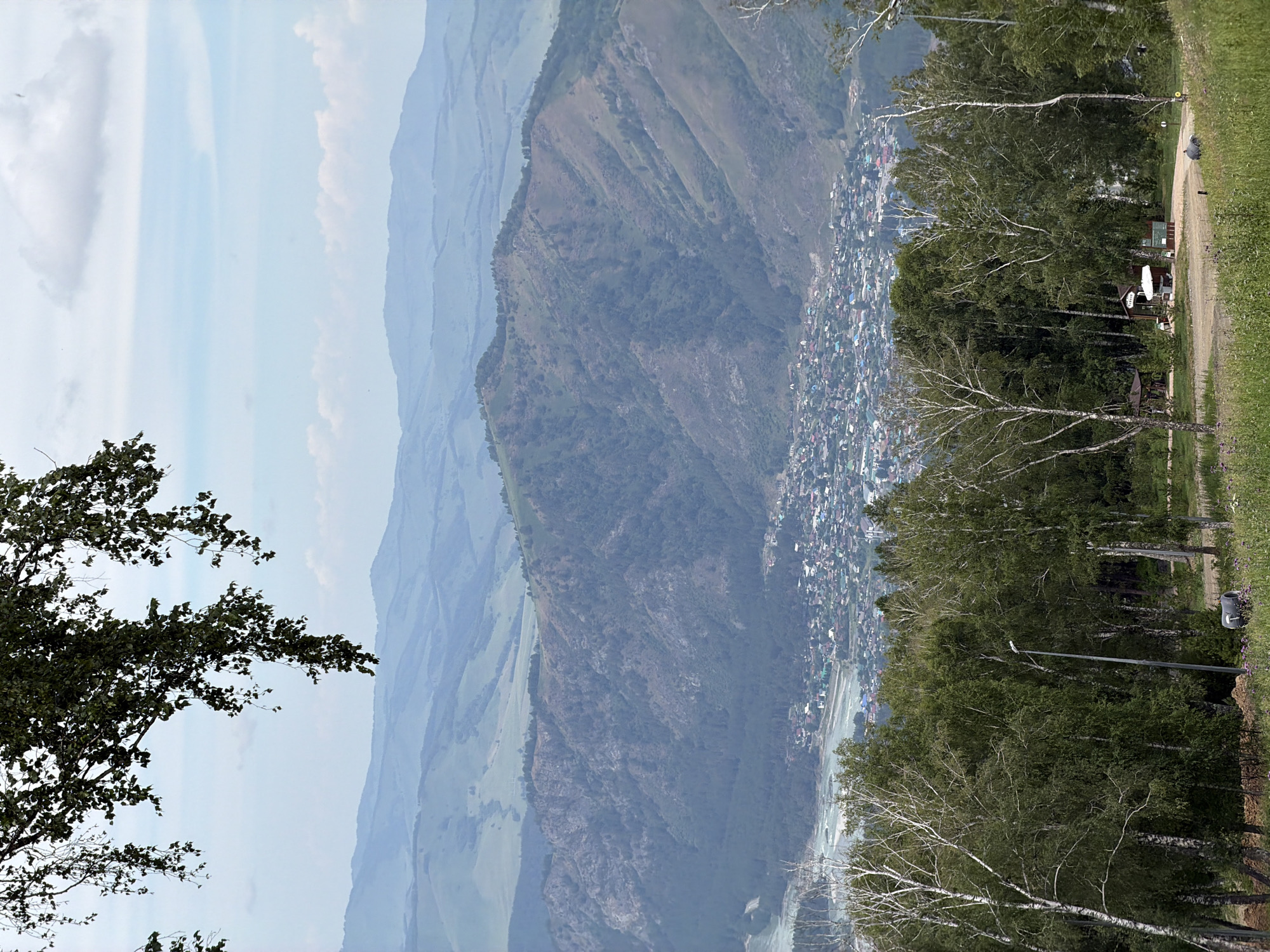 This is a vertical, long-shot photograph of a mountainous landscape with a village nestled in a valley. The foreground features several birch trees with white bark and green foliage, their branches reaching towards the center of the frame. To the right, a grassy area slopes upwards, with a dirt path running through it. A lone pigeon stands on the path, and further back, a satellite dish is visible atop a small building. The middle ground showcases a densely populated village with colorful rooftops, situated along a river that snakes through the valley. The background is dominated by large, rolling mountains, their slopes covered in vegetation and displaying layered contours. The sky is a pale blue with some white clouds. The lighting suggests it is daytime, possibly late afternoon given the soft light. The scene evokes a sense of tranquility and natural beauty. The village appears to be Manzherok, Russia, based on the provided location context. There is no visible text in the image.