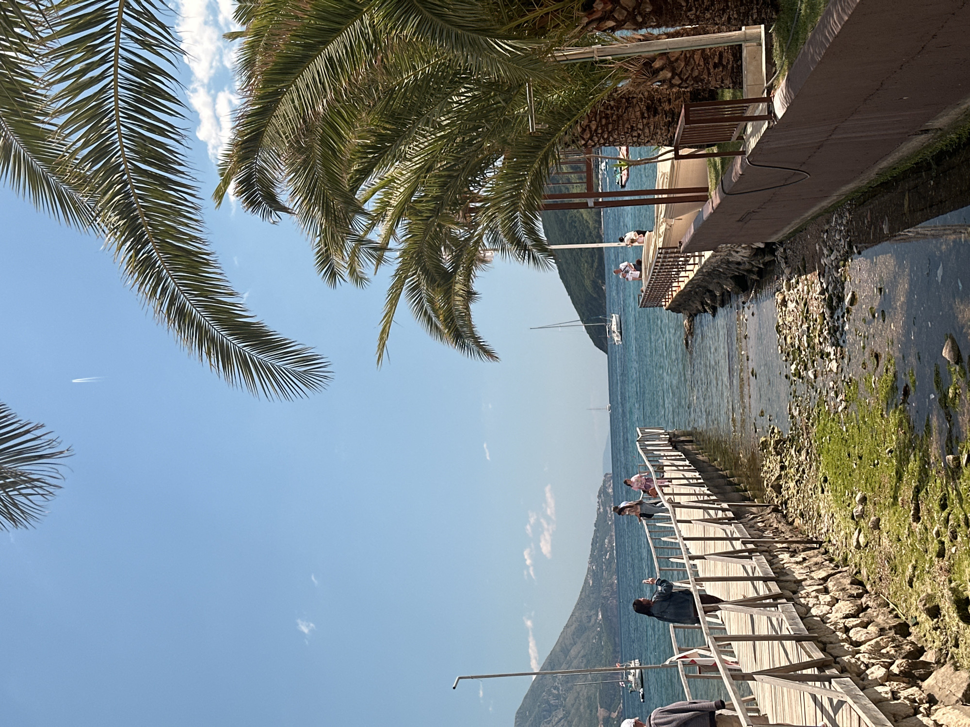 The image depicts a seaside scene in Budva, Montenegro. Palm trees frame the top of the image, partially obscuring a blue sky with wispy clouds. Below the trees, a concrete walkway runs along the water's edge. To the right of the walkway, there's a building with a wooden deck and railing. A rocky shoreline and shallow water extend from the walkway into the frame. Moss or algae covers some of the rocks.
A wooden pier or boardwalk juts out into the water from the lower right of the image. Several people are standing or walking on the pier. In the background, a coastline or island rises out of the sea. A few sailboats are visible on the water. The scene suggests a sunny day with calm waters.