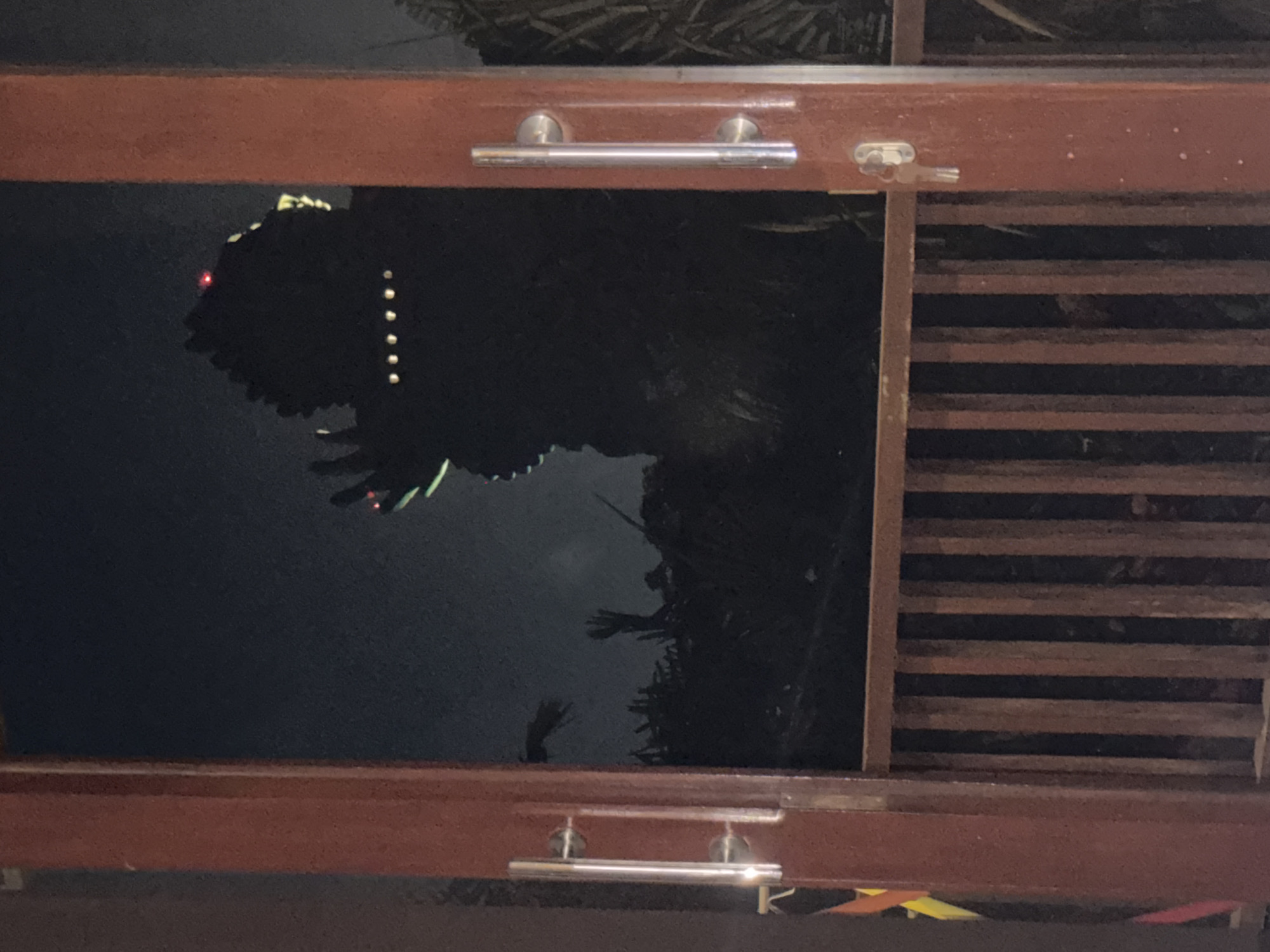 The image shows a view through an open doorway at night. The doorway is framed by dark red wooden posts with metal handles. Through the doorway, a silhouetted figure of what appears to be Godzilla or a similar monster is visible against a dark sky. The figure has distinct spikes on its back, illuminated eyes, and what looks like a red light on its head. The background behind the figure is dark and appears to be an outdoor area with some vegetation. In the foreground, a wooden railing with vertical slats is visible. The overall impression is of a nighttime scene, possibly at an attraction or exhibit in Kuta Selatan, Indonesia, featuring a large figure.