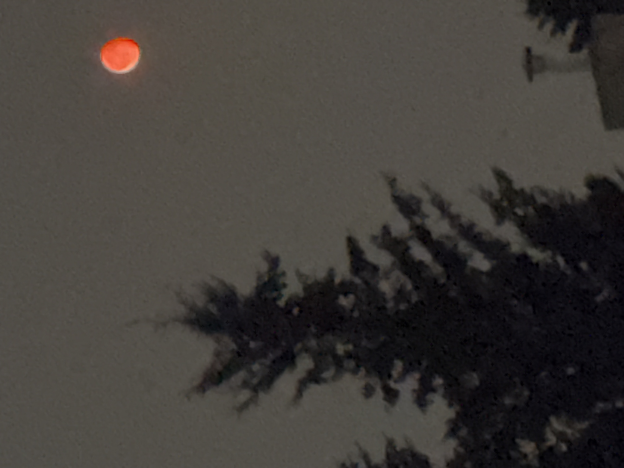 A dark, blurry photograph taken at night depicts a reddish-orange, circular object high in a hazy sky. The object, possibly a celestial body or a light source, is the brightest element in the frame. In the foreground, the silhouetted branches of a conifer tree dominate the left side of the image. A faint, indistinct structure resembling a chimney or vent is visible in the lower right portion of the frame. The overall atmosphere is subdued and lacks detail due to low light conditions and blurriness. The location is identified as Calgary, Canada.