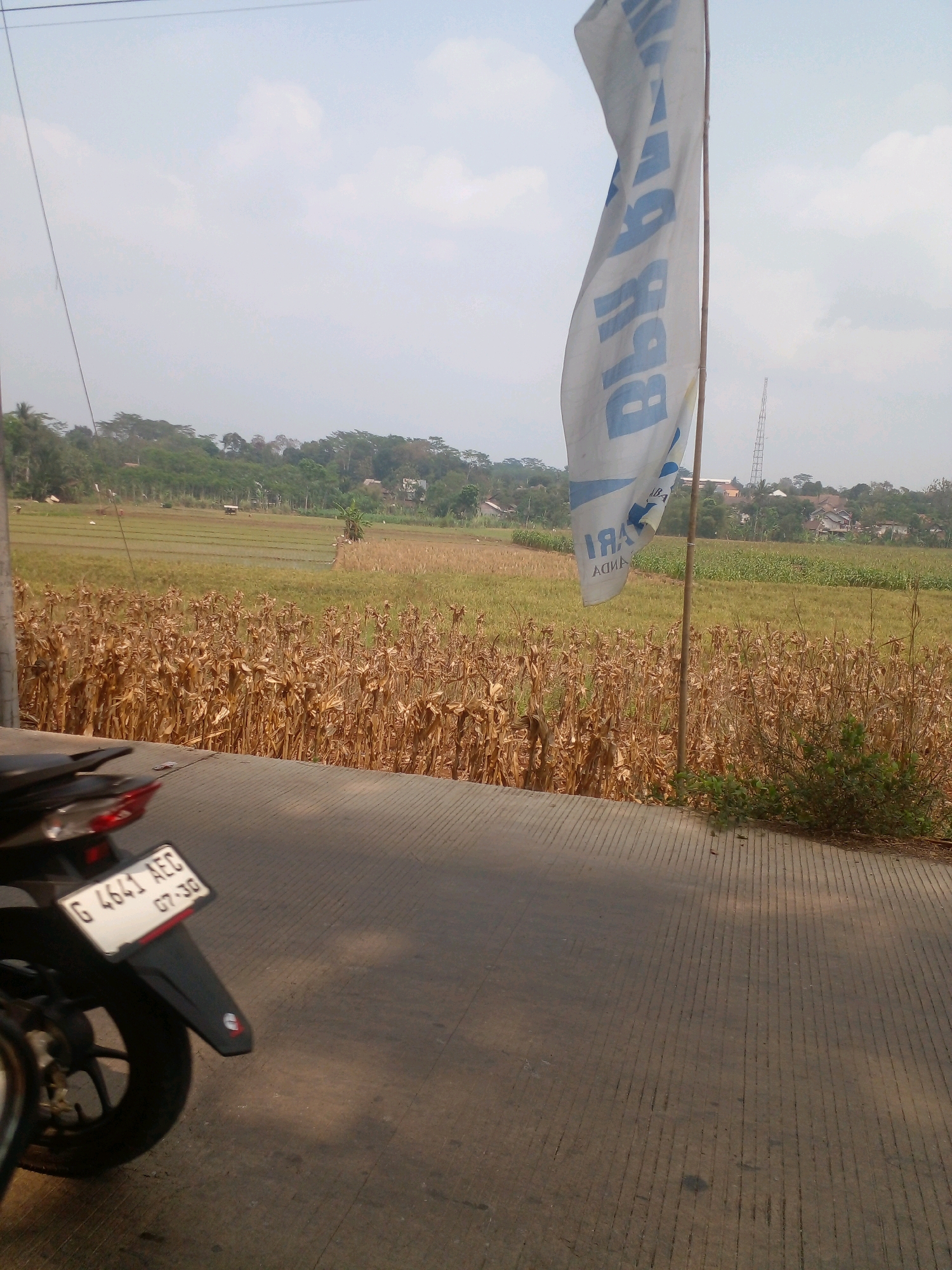 An outdoor, low-angle, eye-level shot captures a rural scene in Banyuputih, Indonesia. In the foreground, the rear of a black motorcycle is visible on a paved road with distinct parallel grooves. A license plate on the motorcycle reads "G 4641 AEC 07-30". To the left of the motorcycle, the edge of a black tire is visible. A white flag with blue lettering, partially obscured and appearing to be made of cloth, is attached to a wooden pole and billows in the wind. The flag has the word "BANK" written vertically in blue. The background reveals a dry, golden-brown field, likely corn stalks, leading to a distant expanse of green rice paddies. A small, dark-roofed structure sits within the rice fields. The landscape is dotted with trees and houses, suggesting a village or small town nestled among the fields and hills. In the far distance, a tall, lattice-like tower stands against a hazy, pale blue sky with scattered clouds. The overall impression is one of a tranquil, agrarian setting under a bright, possibly overcast, sky.
