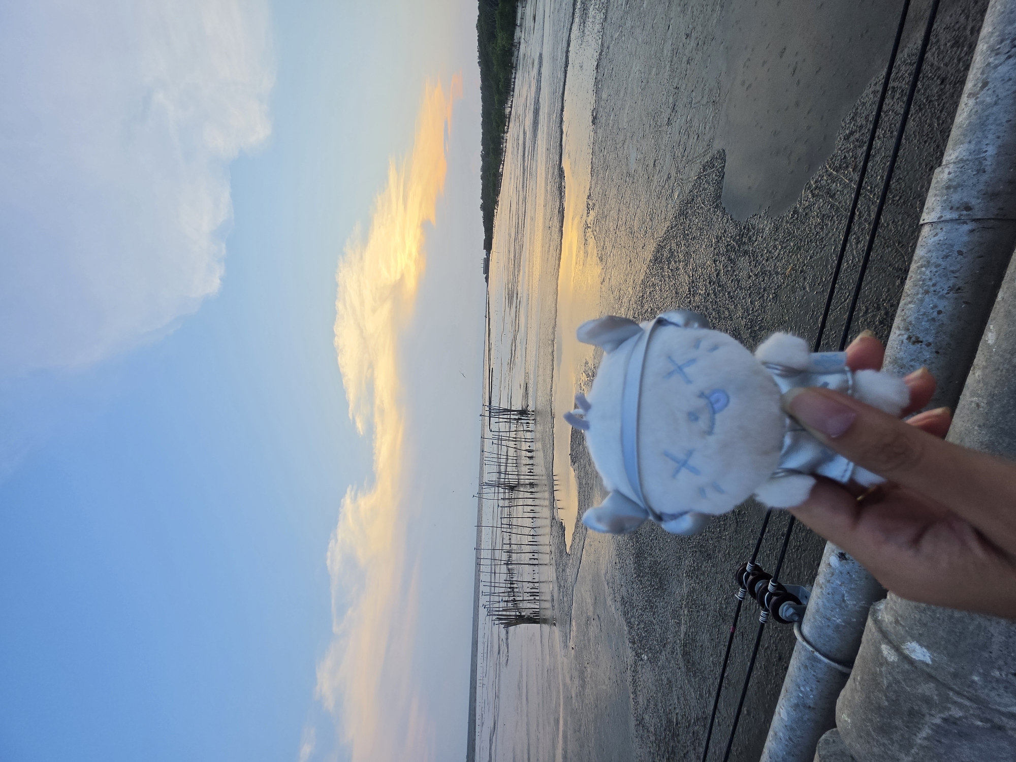 A human hand in the lower right foreground holds a small, light blue and white plush toy. The toy features prominent 'X' shapes for eyes, a small blue nose, and ear-like protrusions on its head. Parts of a sturdy concrete railing or bridge structure occupy the right side of the frame, with black electrical cables attached to a utility pole visible below it.
The scene beyond the foreground reveals a vast expanse of reflective mudflats or very shallow water, stretching towards the horizon. Numerous weathered wooden stakes or posts, arranged in irregular lines, jut out from the muddy surface, extending into the distance. A dense line of dark green foliage, likely mangrove trees, forms the distant shoreline.
The sky is a dominant element, transitioning from a clear blue on the left to vibrant orange and yellow hues on the right, where the setting or rising sun illuminates scattered clouds. The warm, golden light reflects brightly on the wet surface of the mudflats. The overall atmosphere is tranquil, capturing a scenic coastal or estuarine environment during either sunrise or sunset. The activity involves photographing the plush toy against this picturesque backdrop, possibly during a leisurely trip. The location cues, such as the mudflats and wooden structures, are consistent with coastal areas like Bang Pu Subdistrict Municipality, Thailand.