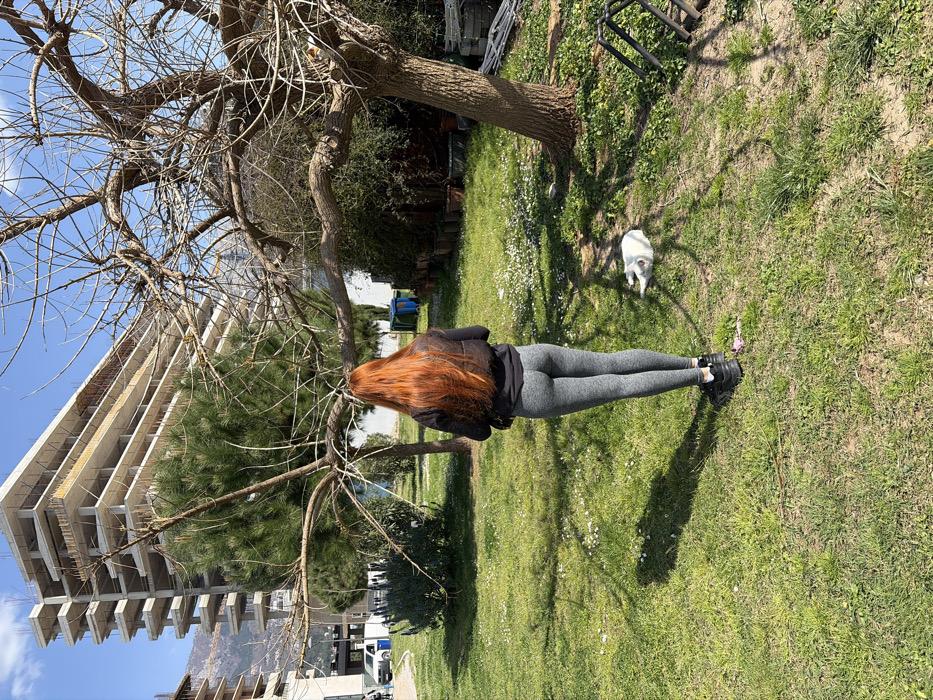 A person with long, bright red hair, wearing a black top, black vest, grey athletic leggings, and black athletic shoes, stands facing away from the camera on a sunlit grassy lawn in Budva, Montenegro. The lawn is interspersed with small white flowers. To the right of the person, a white cat is lying on its side on the grass, partially shaded by a large, bare deciduous tree with gnarled branches. Further left, a large evergreen pine tree is visible. In the background, a multi-story concrete building under construction, with exposed rebar and scaffolding, stands prominent against a clear blue sky. A street runs to the left of the construction, where a white van is parked. Distant mountains are visible on the horizon. Two refuse bins, one blue and one green, are located near the rear boundary of the grassy area, which also contains several potted plants and a dark metal structure. Strong shadows are cast across the grass, indicating direct sunlight.