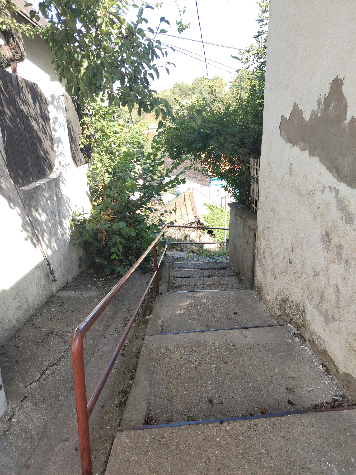 The image shows a concrete outdoor staircase with a rusty metal handrail, descending between two buildings. The building on the left has a white wall with a dark, wooden shuttered window. Lush green foliage overhangs the staircase from the left. The building on the right has a textured, pale yellow stucco wall with patches of exposed concrete and water stains. The staircase itself appears somewhat worn, with cracks in the concrete and some debris on the steps. At the bottom of the stairs, a view of a residential area with tiled roofs and trees is visible. The scene is bathed in sunlight, casting shadows from the trees and buildings. This is an exterior view of a residential property, likely in a hilly or sloped area, characteristic of neighborhoods within the Sremski Karlovci Municipality, Serbia.