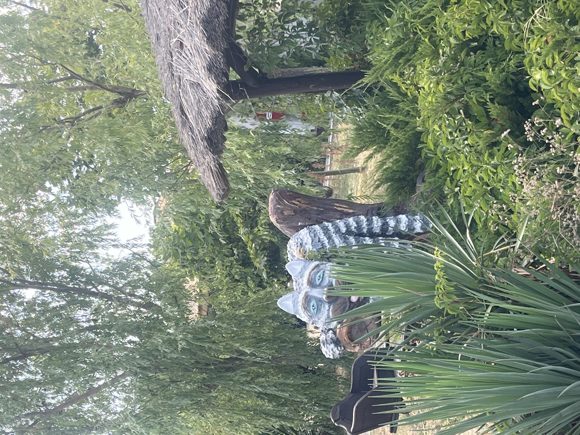 The image depicts an outdoor scene, likely a park or garden area, with a prominent whimsical sculpture of a cat-like creature. The sculpture is made of stone or concrete, with large, expressive blue eyes and a grey and white striped body. It appears to be a large, decorative piece, possibly part of a theme park or art installation. In the background, there are several large trees with green foliage, suggesting a lush, natural environment. A thatched-roof structure, possibly a gazebo or shelter, is visible to the right of the sculpture, and it appears to be supported by wooden posts. The ground is covered with greenery, including bushes and grass. The overall impression is one of a whimsical and slightly unusual outdoor setting. The provided information indicates that this location is in the city of Taman', Russia, but this specific detail cannot be visually confirmed from the image alone.