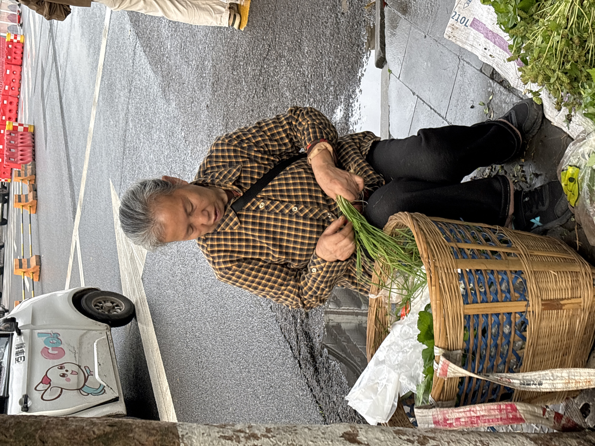 A woman sits on a street curb in Jiangjin, China, sorting green onions into a woven basket. She wears a brown and yellow plaid shirt, black pants, and black shoes. To her right are cut herbs and a white plastic bag. The street is wet and the curb is beside a grey road. A small white vehicle with cartoon graphics is parked on the side of the road. Orange and white safety barriers are placed on the road. Another person wearing light-colored pants and yellow shoes is visible in the top left corner.