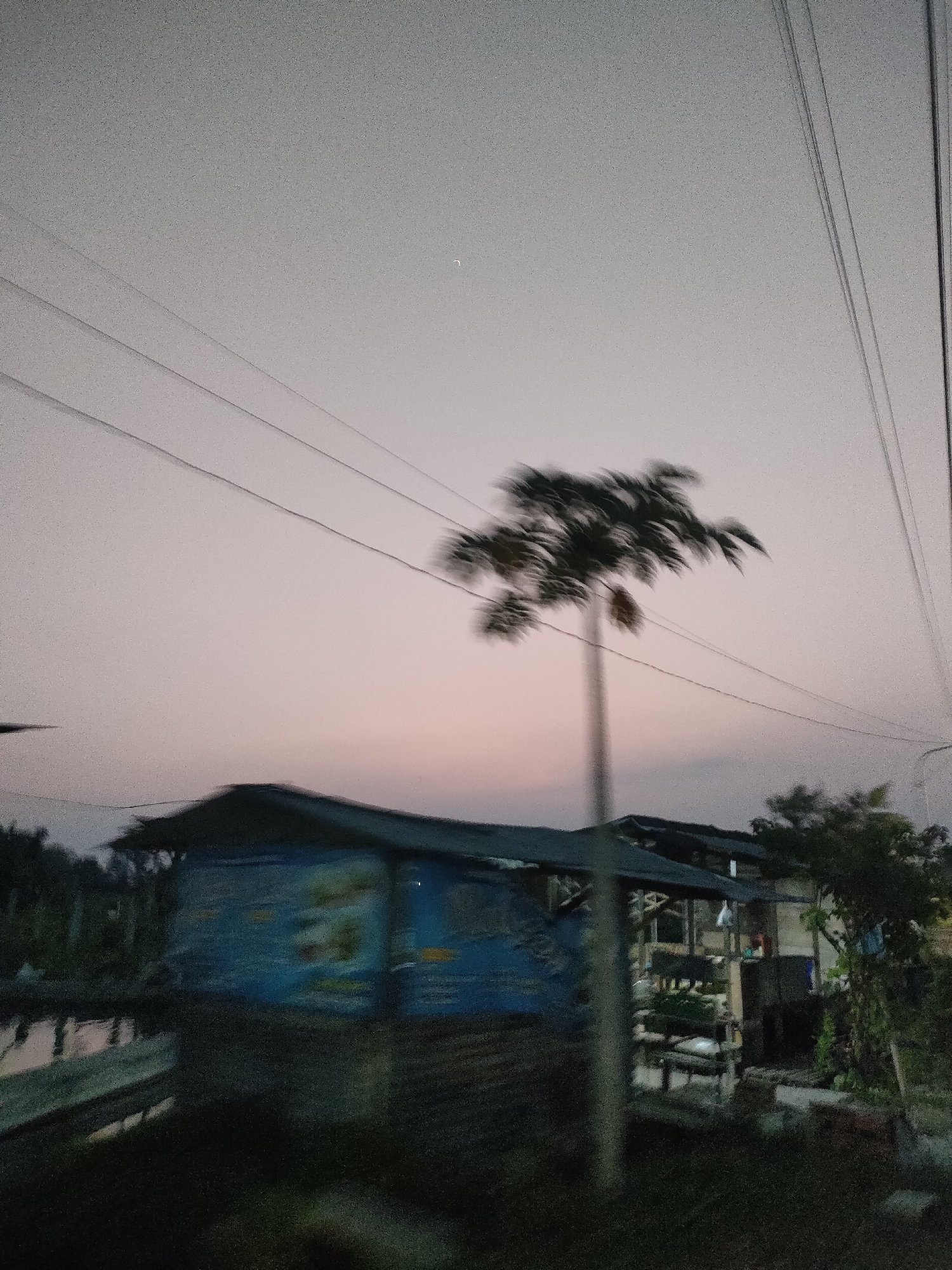 The image captures a street view in Berbah, Indonesia, during what appears to be dusk or dawn, indicated by the soft, diffused light and the pale sky. In the foreground, a blurred structure, likely a small building or a stall, is visible. It has a dark roof and blue walls with some indistinct imagery or text. To the left of this structure, a dark, out-of-focus area suggests vegetation or a waterway.
Dominating the midground is a blurred tree with a slender trunk and feathery leaves, its shape distorted by motion blur, suggesting it might be along the side of a road where the photo was taken from a moving vehicle. Several power lines crisscross the sky above the scene, adding a linear element to the composition. The sky itself is a gradient of pale gray to a soft pinkish hue near the horizon, with a faint crescent moon visible. In the background, more blurred greenery and parts of other structures are discernable, hinting at a residential or semi-rural area. The overall image has a grainy texture, possibly due to low light conditions and the camera's ISO setting.