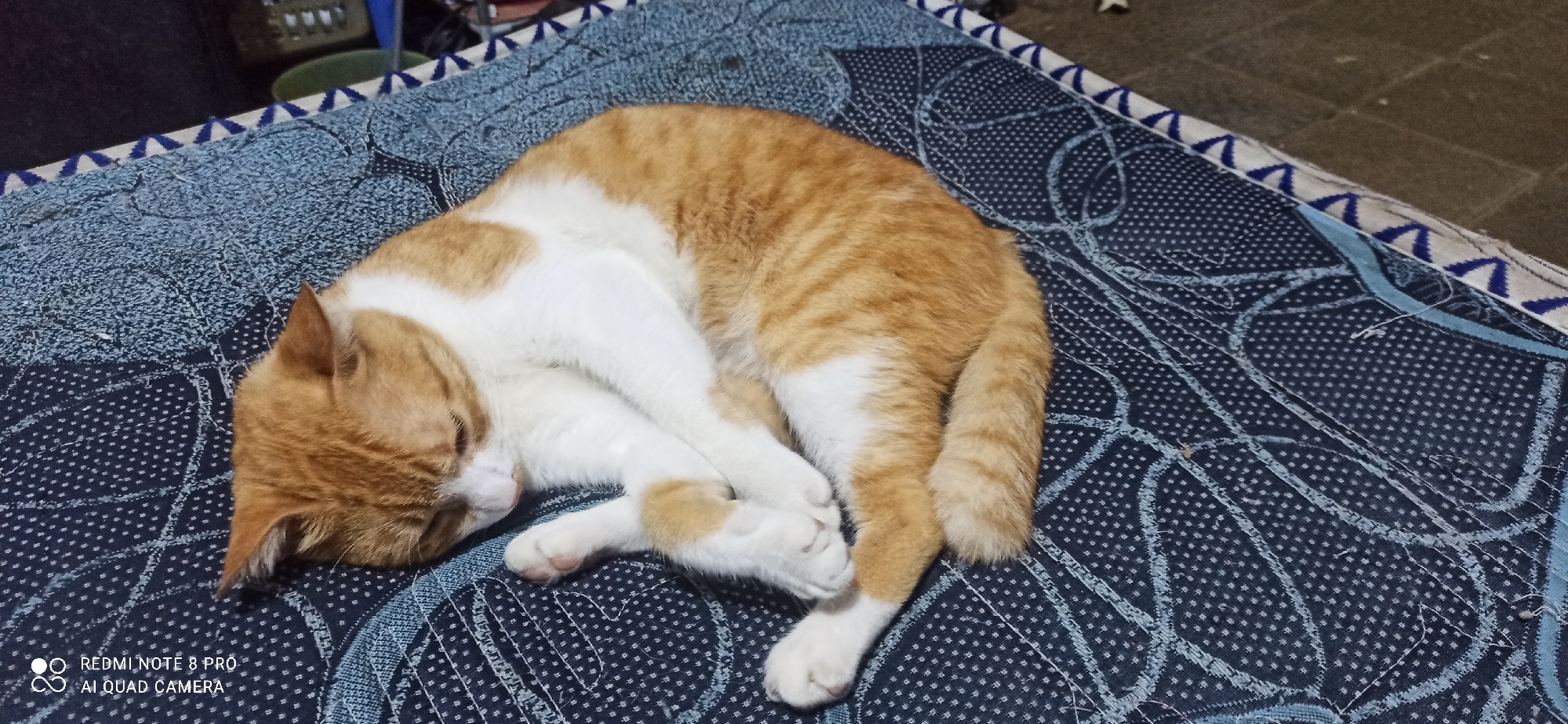 An orange and white cat is curled up asleep on a patterned blue blanket. The cat is lying on its side, with its head tucked in and its paws crossed. The blanket has a white and blue geometric border and a dark blue background with white abstract patterns. The image appears to have been taken indoors, likely in a residential setting. The resolution of the image is 4000x2250 pixels.