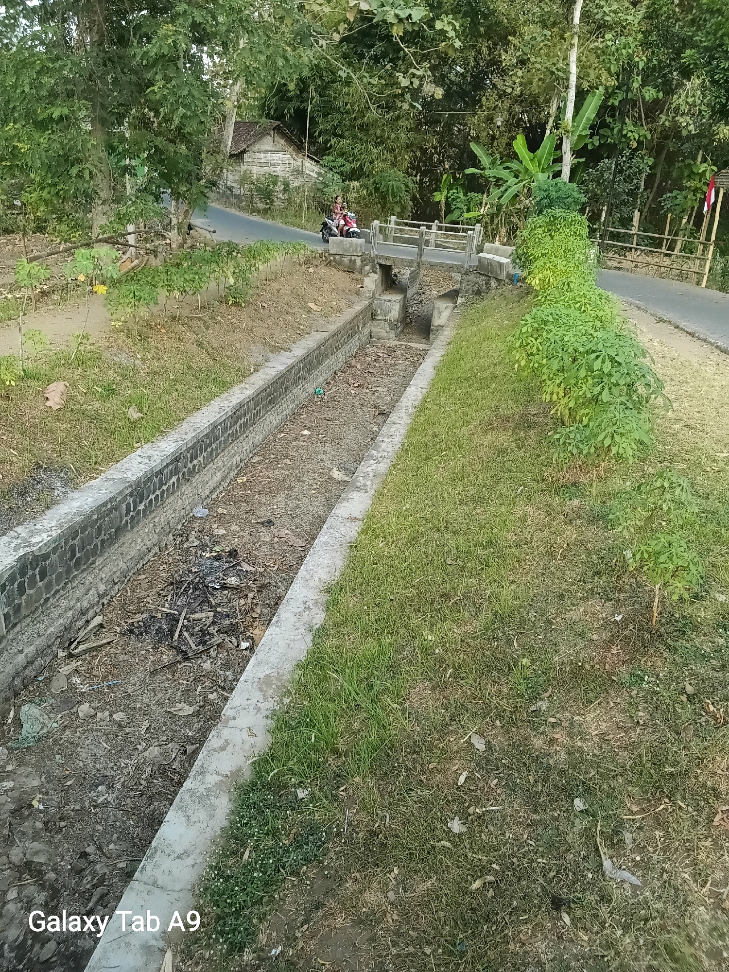 The image depicts a dry, concrete-lined canal running diagonally across the frame, filled with debris, including branches, leaves, and scattered litter. The canal is flanked by grassy slopes and a concrete walkway. In the background, a narrow paved road winds through a rural landscape with lush green trees and vegetation. A traditional Indonesian house with a thatched roof is visible on the left, adjacent to the road. A small concrete bridge crosses the canal in the middle ground, with two people riding a motorbike on it. A line of young, leafy plants runs along the right side of the road, and further in the distance, a wooden fence and a small Indonesian flag can be seen. The lighting suggests it is daytime, with the sun casting shadows. The overall scene suggests a village or rural area in Sumberingin, Indonesia.
