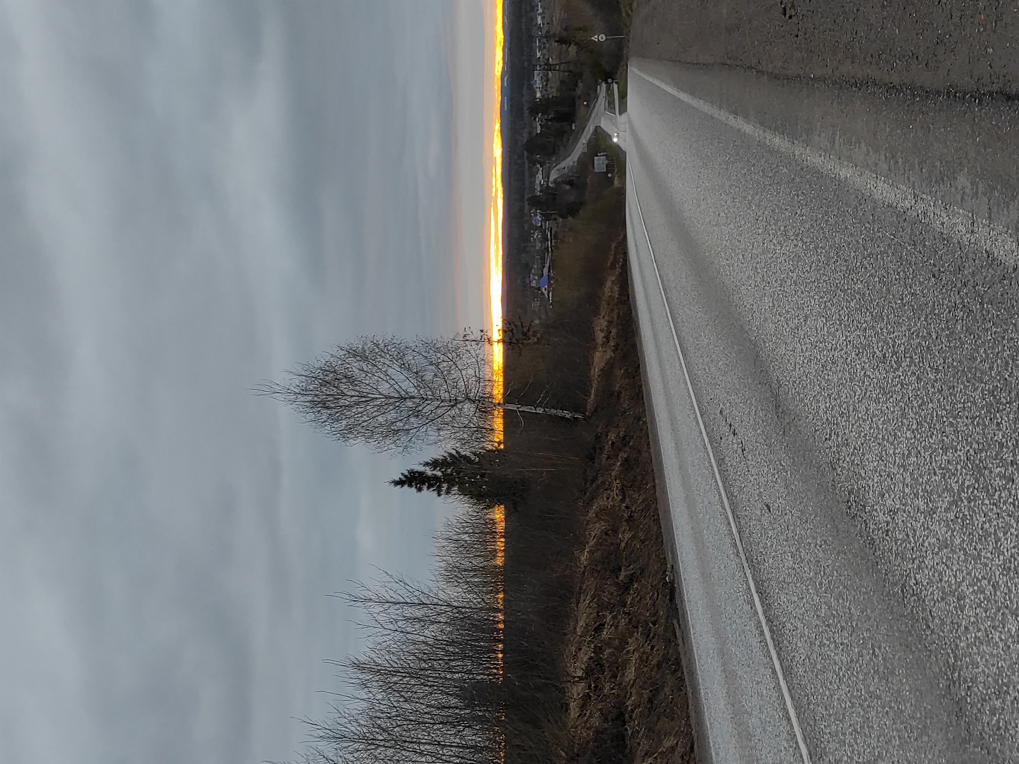 The image, correctly oriented, depicts a rural or semi-rural landscape at either sunrise or sunset. A two-lane asphalt road, appearing damp, extends from the lower right foreground towards the distant horizon on the left. A prominent white line marks the edge of the road, with another central white line partially visible.
To the left of the road, a strip of dry, brown vegetation and sparse, bare-branched trees lines the path, including a distinct birch tree and a smaller conifer. Beyond these, the horizon is dramatically illuminated by an intense, narrow band of golden light, indicating the low position of the sun. Above this vibrant band, the sky is a uniform, muted gray, suggesting heavy cloud cover. Faint outlines of distant buildings belonging to a small settlement are visible along the horizon, silhouetted against the bright light. A small, indistinct road sign can be seen in the mid-distance on the right side of the road.
The scene conveys a quiet, atmospheric mood, with the bare trees and dry ground cover pointing to late autumn, winter, or early spring. No specific activity or individuals are present. There is no legible text visible in the image.