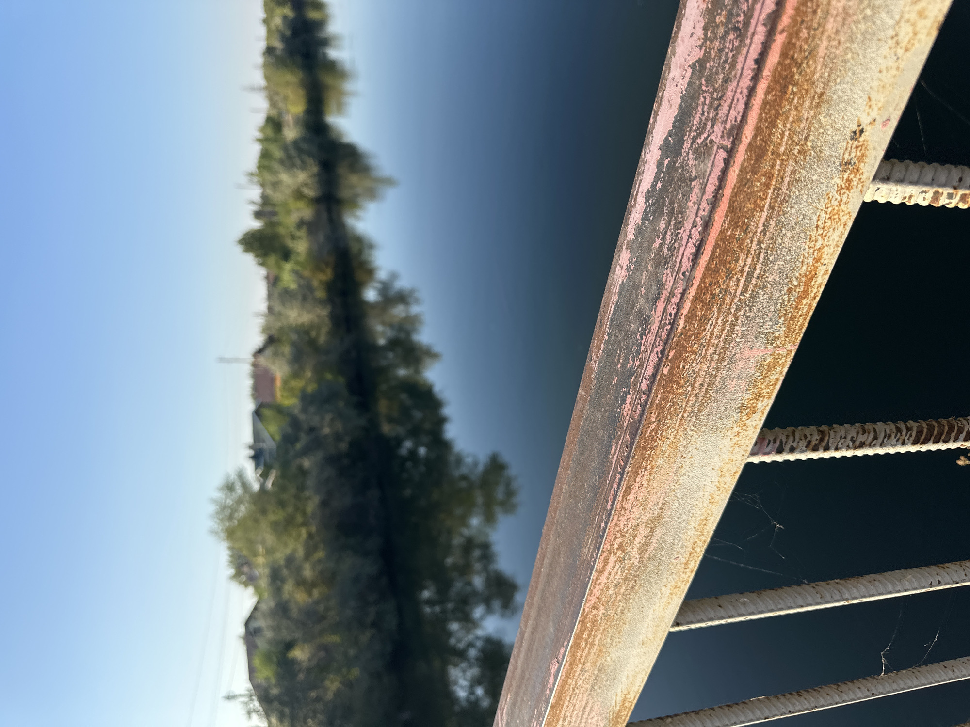 This is a close-up shot of a rusty, weathered metal railing on a bridge, with a calm, dark body of water and a tree-lined bank in the background. The railing, in the foreground, is textured and shows signs of peeling pink paint over rust. Several white, ribbed vertical supports are visible beneath the railing, with delicate spiderwebs stretched between them. The water reflects the sky and the trees on the opposite bank, creating a sense of depth and tranquility. The distant bank is lush with greenery and dotted with a few houses, suggesting a semi-rural or suburban setting. The sky is a clear, pale blue, indicating a bright day. The image does not contain any people or specific identifiable landmarks that would confirm its location within Energetik, Russia.