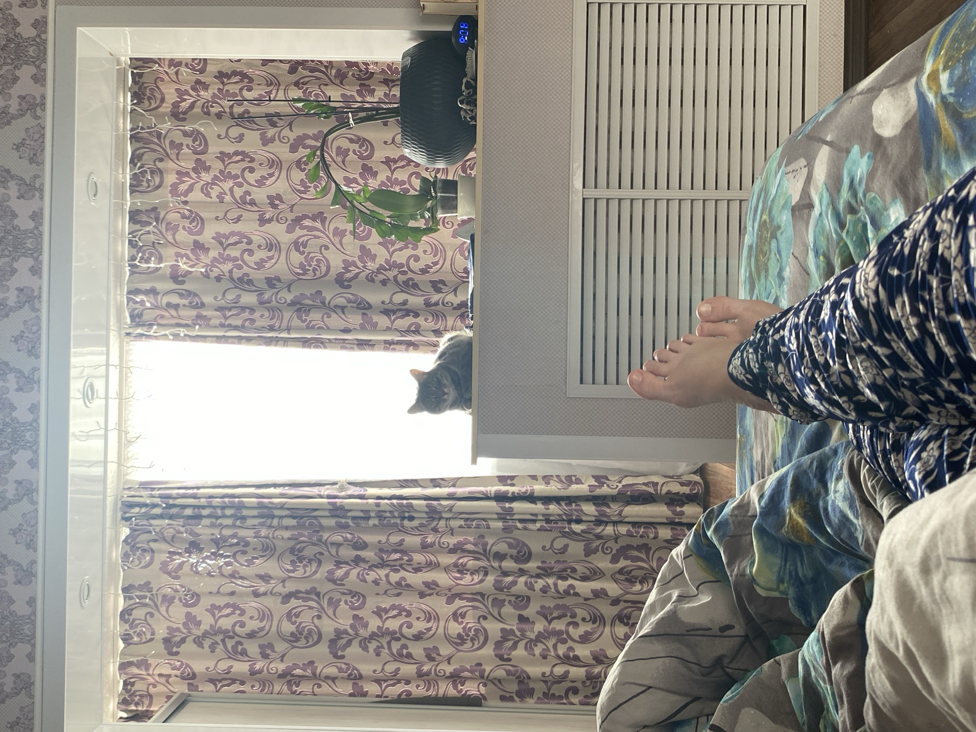 A sideways, medium indoor shot shows a window with patterned curtains, a houseplant, a gray cat looking down, a radiator, and a person's legs and feet under patterned blankets. The picture was taken in Markovskii, Russia.