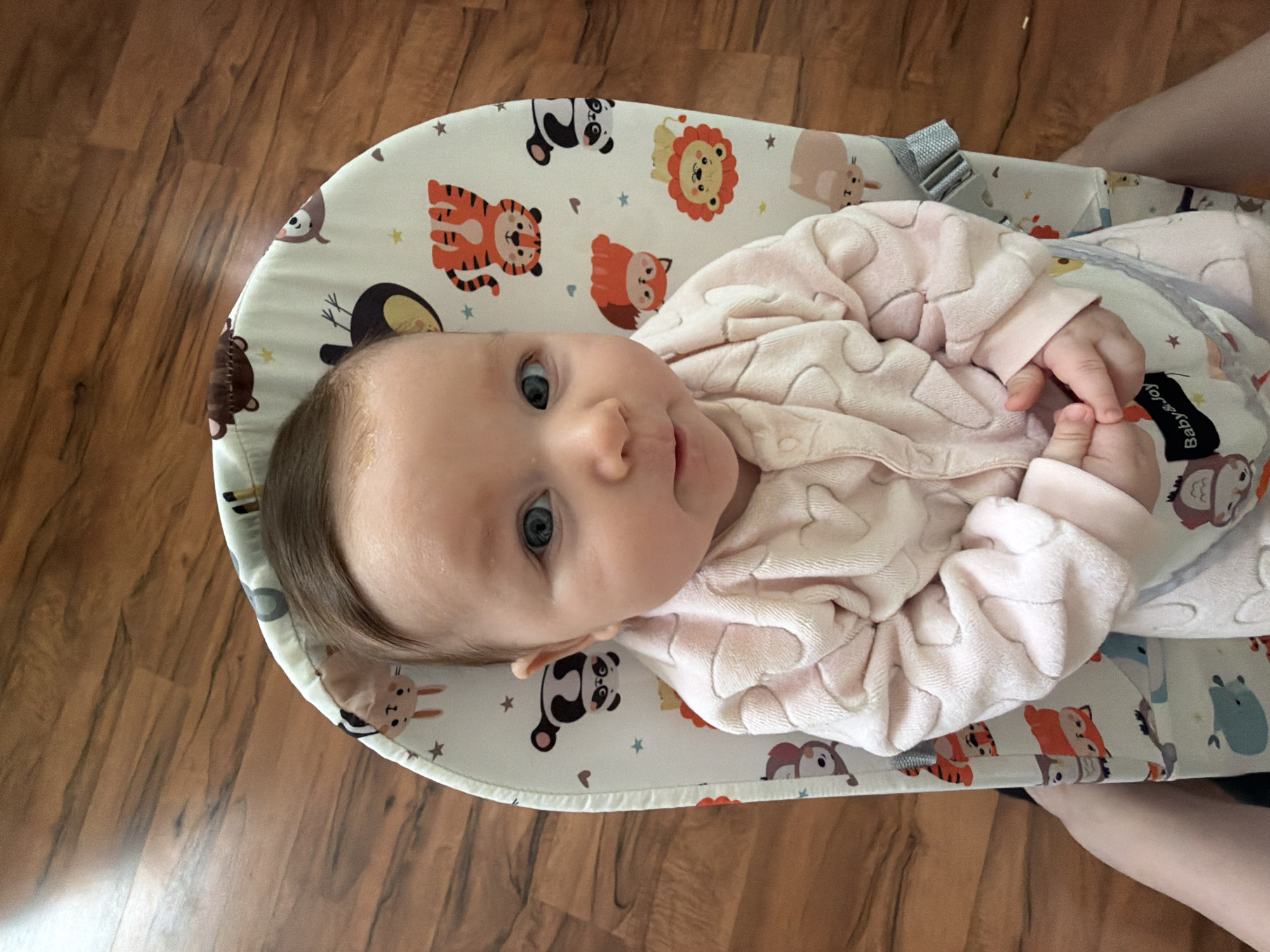 A baby lies in a white and light-blue bouncer seat with an animal pattern. The baby is wearing a pink, textured, long-sleeved outfit. The baby has blue eyes and some hair. The bouncer seat is on a wood-look floor. No location information about Chaikovsky, Russia can be verified from the image.