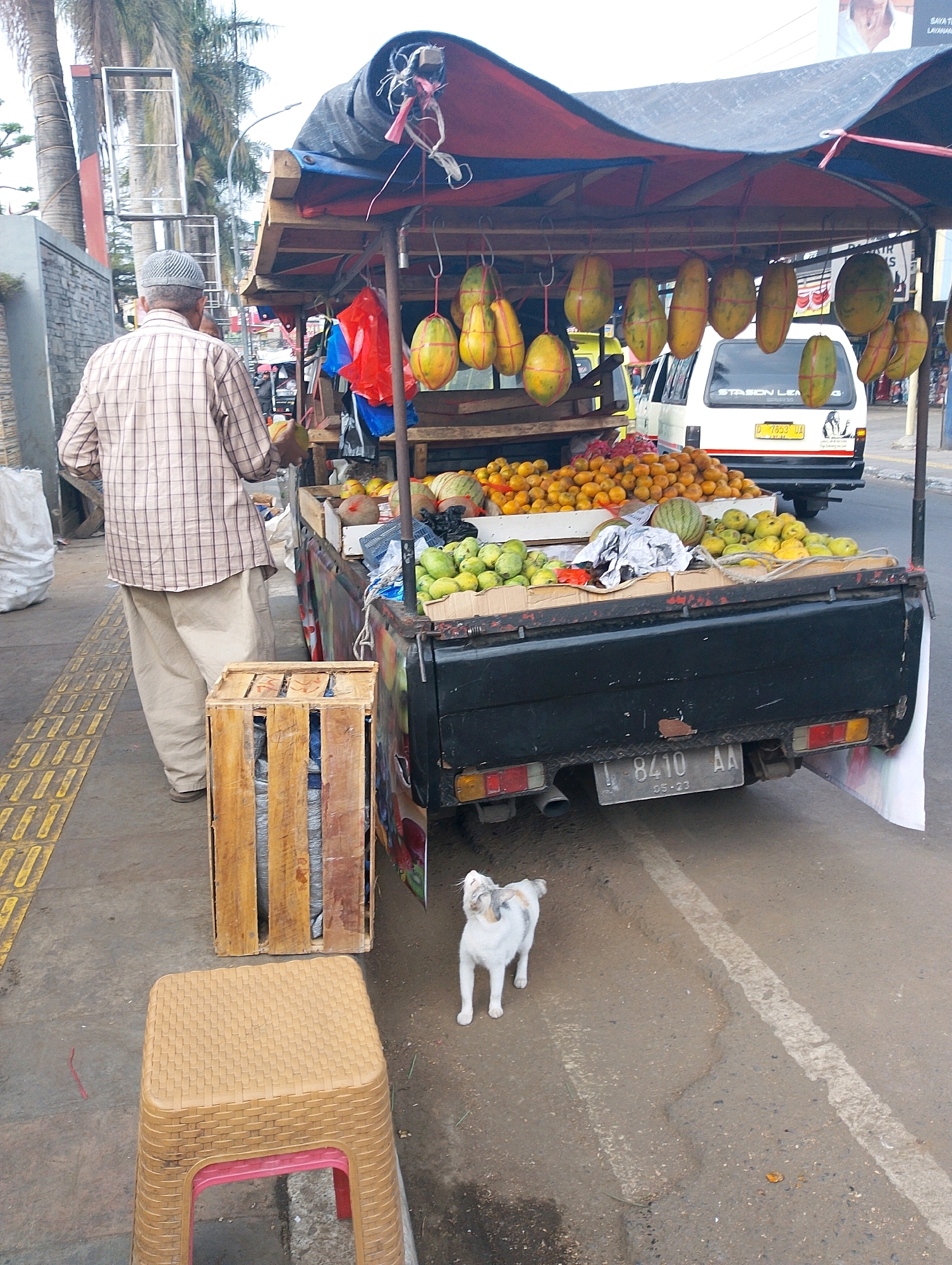 In Lembang, Indonesia, a man wearing a checkered shirt and light-colored pants stands on a sidewalk next to a fruit stand. The fruit stand, mounted on the back of a black truck, is adorned with a red and blue tarp and displays a variety of fruits including papayas, oranges, and watermelons. The truck has a license plate reading "L 8410 AA" and the words "STASIUN LEU" are visible on its rear window. In the foreground, a small, light-colored cat stands on the street, looking towards the fruit stand. A wooden crate and a woven plastic stool are positioned on the sidewalk. The environment appears to be a roadside, with a street and buildings visible in the background.