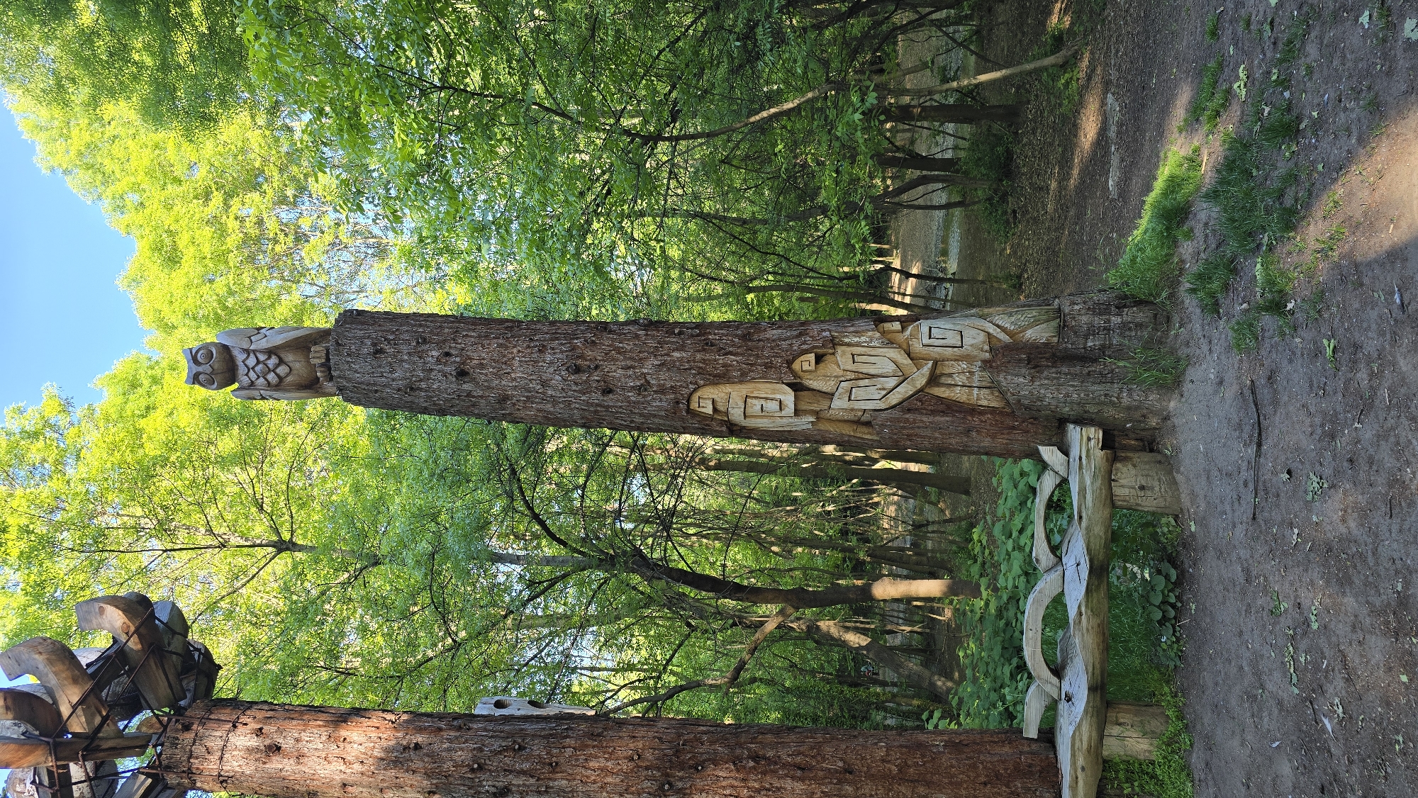 The image shows a forest scene in Sofia, Bulgaria, featuring two tree trunks carved with artistic details. One trunk is topped with a sculpture of an owl, while the other has geometric designs carved into it. A rustic wooden bench is positioned next to one of the trunks. The surrounding environment includes trees, greenery, and a dirt path. The overall lighting suggests a sunny day with dappled light filtering through the leaves.
