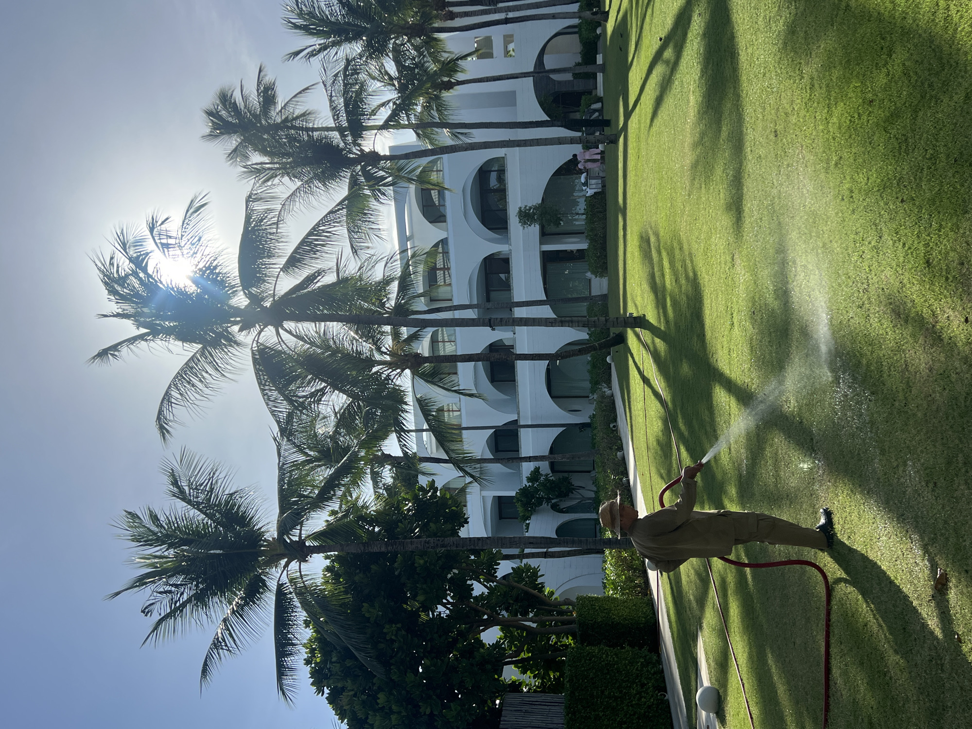 In an outdoor scene, a person wearing a hat and a light-colored uniform is watering a lush green lawn with a red hose. The person is positioned in the foreground, facing away from the camera and to the right, with a strong shadow cast on the grass. Behind the lawn, a modern white building with arched windows and balconies stands out, surrounded by tall palm trees that cast dappled shadows. The sky is a clear blue with bright sunlight, creating a halo effect around the sun. In the background, a few people are visible near the building, and there are some decorative white spheres on the lawn. The overall impression is one of a well-maintained resort or hotel in a tropical setting.
