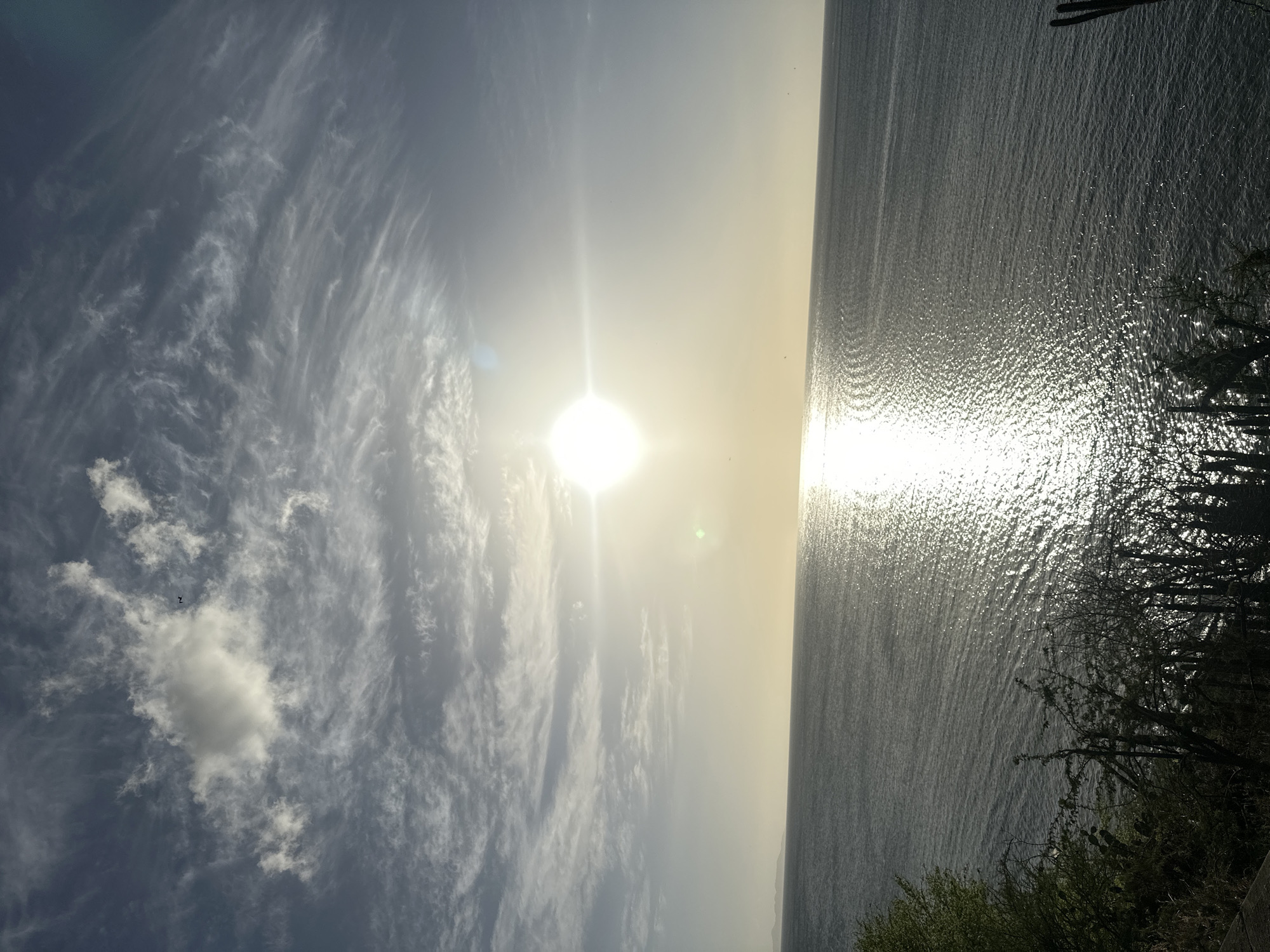The image depicts a serene coastal scene with the sun shining brightly over a calm body of water. The sky is partially cloudy, with wispy cirrus clouds stretching across the horizon. The sun's rays create a shimmering reflection on the water's surface. In the foreground, silhouetted against the bright sky, are sparse desert-like vegetation, including cacti and dry branches. The composition suggests a tranquil moment at sunset or sunrise. The location is identified as being in Juan Griego, Venezuela, a coastal town known for its scenic beauty.
