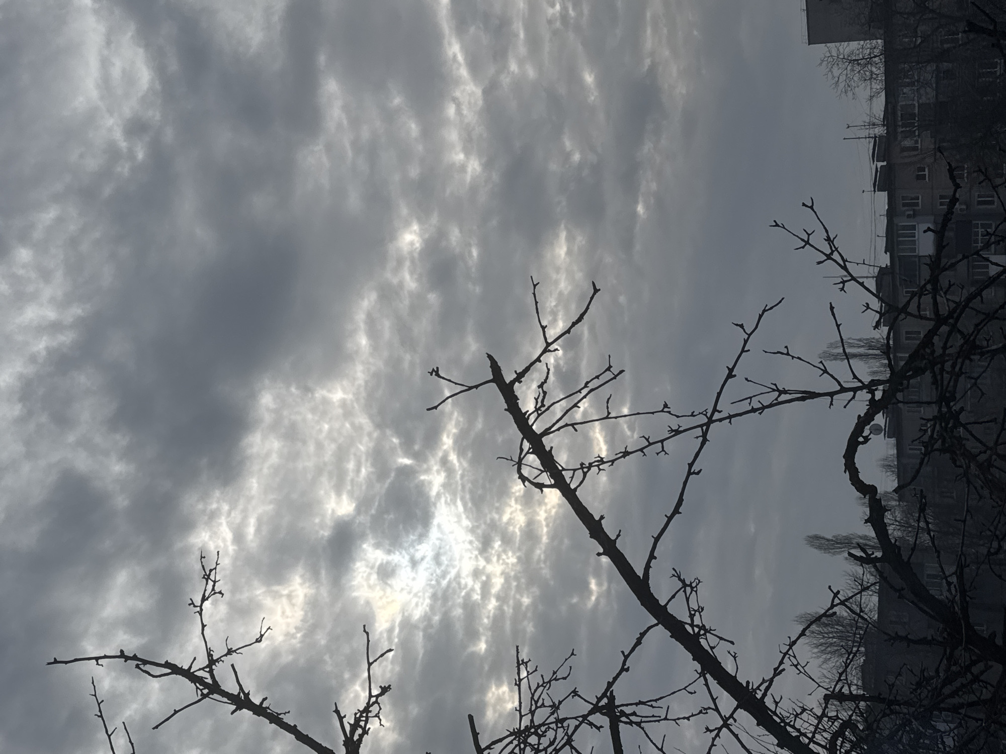 The image depicts an urban or suburban landscape under a heavily overcast sky. The upper two-thirds of the frame are dominated by a dense, textured layer of grey clouds, identified as altocumulus or stratocumulus, with brighter, diffuse patches of light attempting to penetrate through, particularly in the upper-left quadrant. Silhouetted against the sky and partially obscuring the view are numerous dark, bare tree branches, characteristic of late autumn, winter, or early spring. These branches, devoid of leaves, extend across the foreground and midground, with some featuring small visible buds. Beneath the tree line and in the background, multiple multi-story residential buildings, likely apartment blocks, are visible. These structures feature visible windows and balconies, suggesting a common urban architectural style. No people, discernible subjects, actions, or interactions are present in the scene. The lighting is dim, consistent with heavy cloud cover during daylight hours. The specific city and region are Unknown, Unknown.