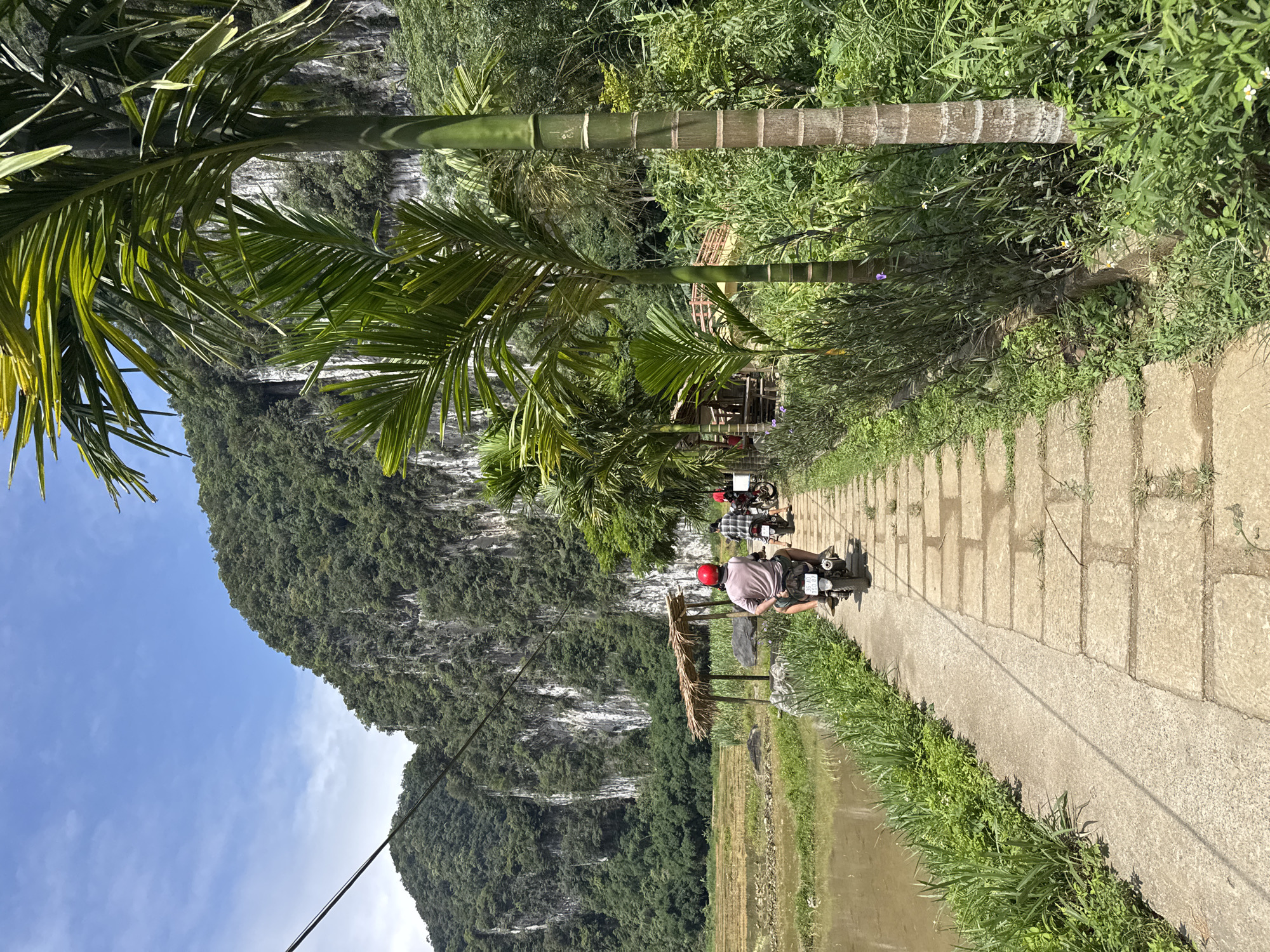 In Pù Luông Commune, Vietnam, a paved walkway with stone slabs runs alongside a body of water on the left and lush green vegetation on the right. A cluster of palm trees stands prominently on the right side of the path. In the background, steep, forested limestone cliffs rise under a bright blue sky with scattered clouds. Three individuals on motorcycles are traveling along the walkway from the foreground towards the background. The lead motorcyclist, wearing a red helmet, is seen from behind. Behind them, another motorcyclist in a plaid shirt is followed by a third, partially obscured rider. A small, thatched-roof shelter is visible on the left side of the path near the water. The overall scene depicts a natural landscape with a road and people engaged in travel.