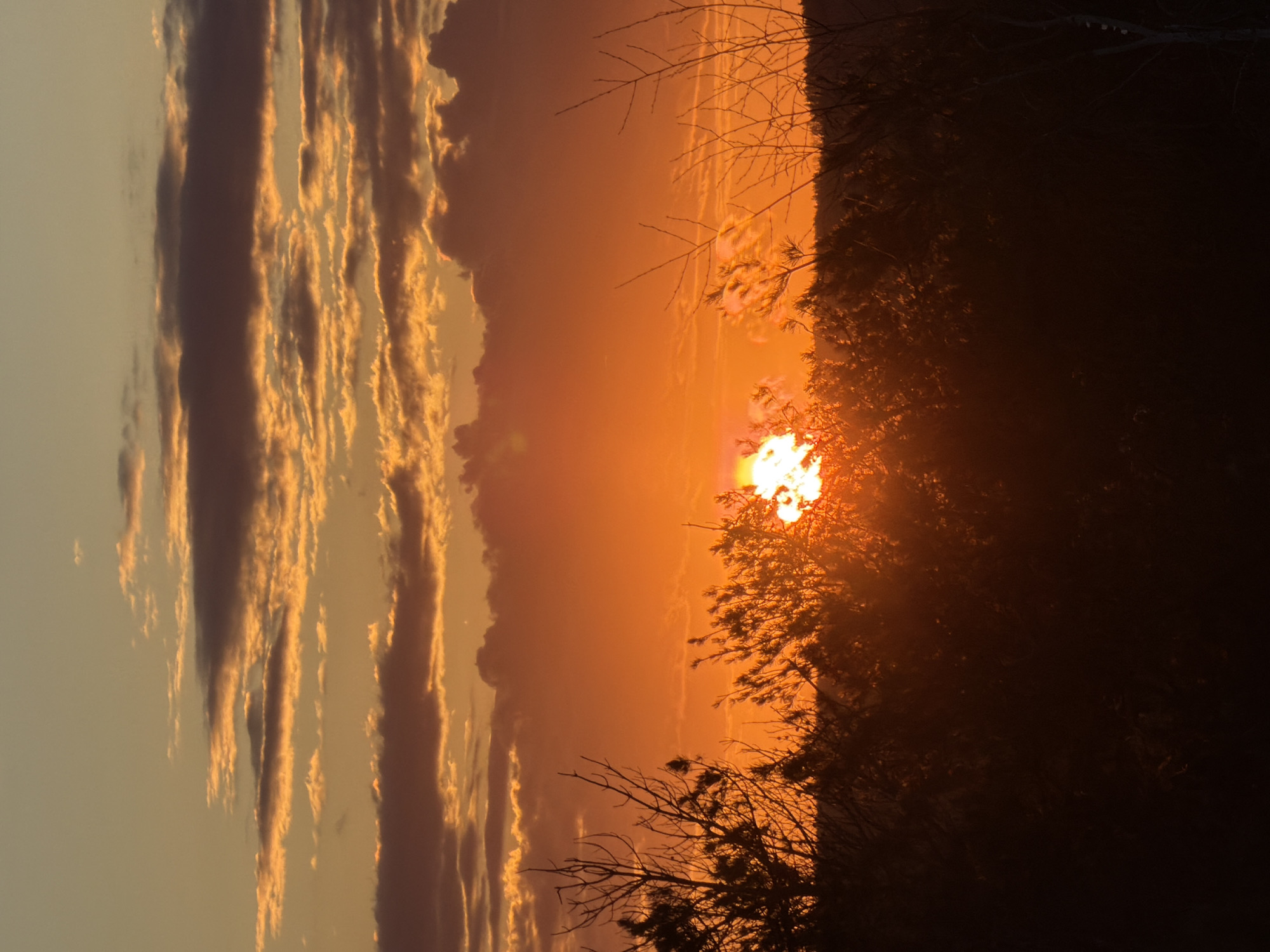 This vivid image captures a breathtaking sunset or sunrise over a landscape in Chaikovsky, Russia. The sky is ablaze with intense shades of orange and red, radiating from the bright, partially obscured sun positioned towards the right side of the frame. The sun itself emits a powerful white-yellow glow, creating a striking contrast with the surrounding warm hues.
Elongated, streaky clouds traverse the sky, especially in the mid-left, catching the golden light on their edges and appearing darker in their undersides. These cloud formations add depth and texture to the expansive sky.
In the foreground and along the horizon, a dense line of trees is visible, rendered in deep silhouette against the vibrant sky. Bare branches, possibly from deciduous trees, are intricately outlined against the glowing sun, while the bulk of the forest appears as a dark, almost black mass, heavily backlit. The scene exudes a sense of natural beauty and tranquility, characteristic of early morning or late evening. There are no people, visible activities, or text in the image.