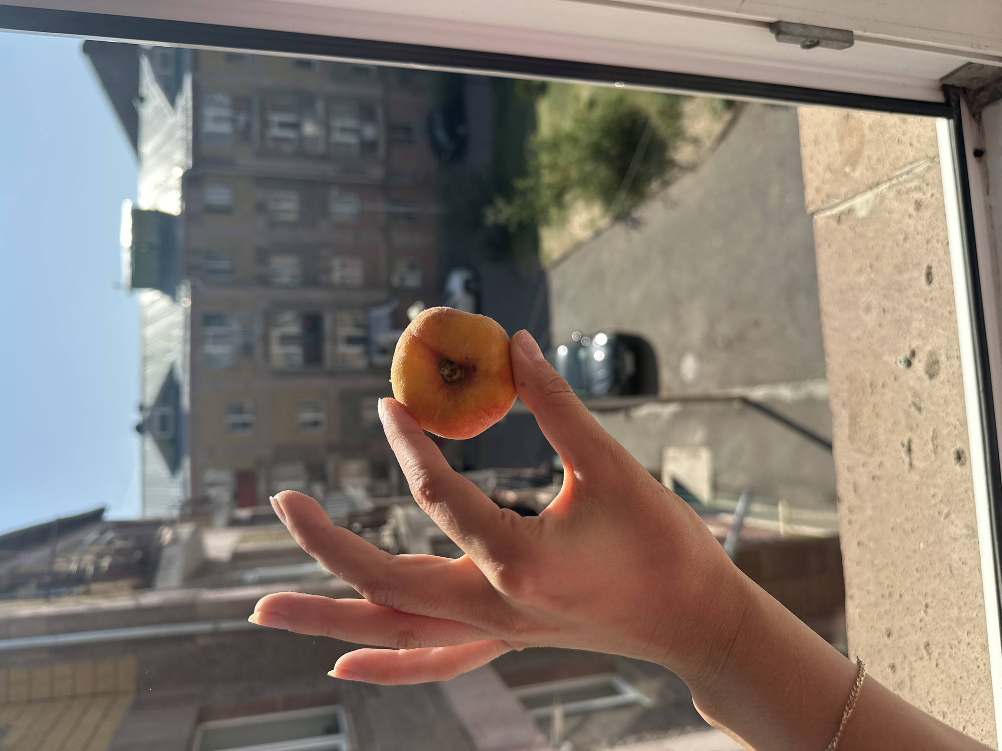 A person's hand holds a small, ripe apricot against a blurred background of apartment buildings and a street in Gyumri, Armenia. The apricot is orange with a red blush and is held between the index finger and thumb. The background shows multi-story buildings with neutral-colored facades, some with balconies. A tree and parked cars are visible on the street below. The scene is illuminated by natural sunlight, casting a warm glow on the hand and apricot. The window frame is visible in the foreground, suggesting the photo was taken from indoors.