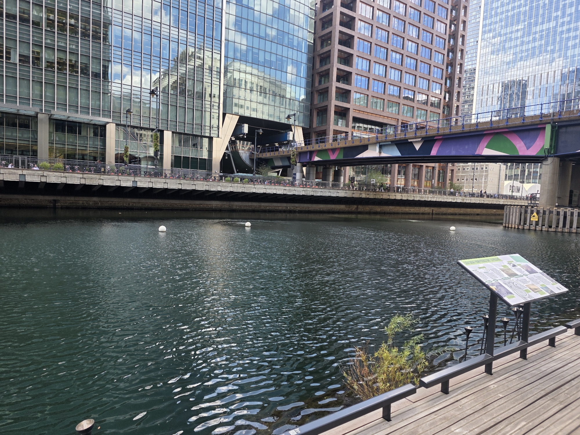 The image depicts a waterfront scene in Canary Wharf, London. In the foreground, a wooden boardwalk lines the edge of a dark, rippling body of water. A metal railing runs along the boardwalk, and to the right, a tilted information board displays maps and text. Several small green plants sprout from the edge of the boardwalk, near the railing. In the water, a white buoy is visible in the middle distance. Beyond the water, a multi-level pedestrian bridge crosses the scene, adorned with colorful geometric patterns. A row of bicycles is parked along a promenade beneath the bridge. Towering glass and brick buildings, characteristic of Canary Wharf's financial district, dominate the background. The sky is partly cloudy, with reflections of the clouds and buildings visible on the water's surface and in the glass facades of the buildings. Several people are visible on the promenade and the bridge, engaged in various activities such as walking and cycling. The overall scene portrays a modern urban environment with a focus on public spaces and architecture.