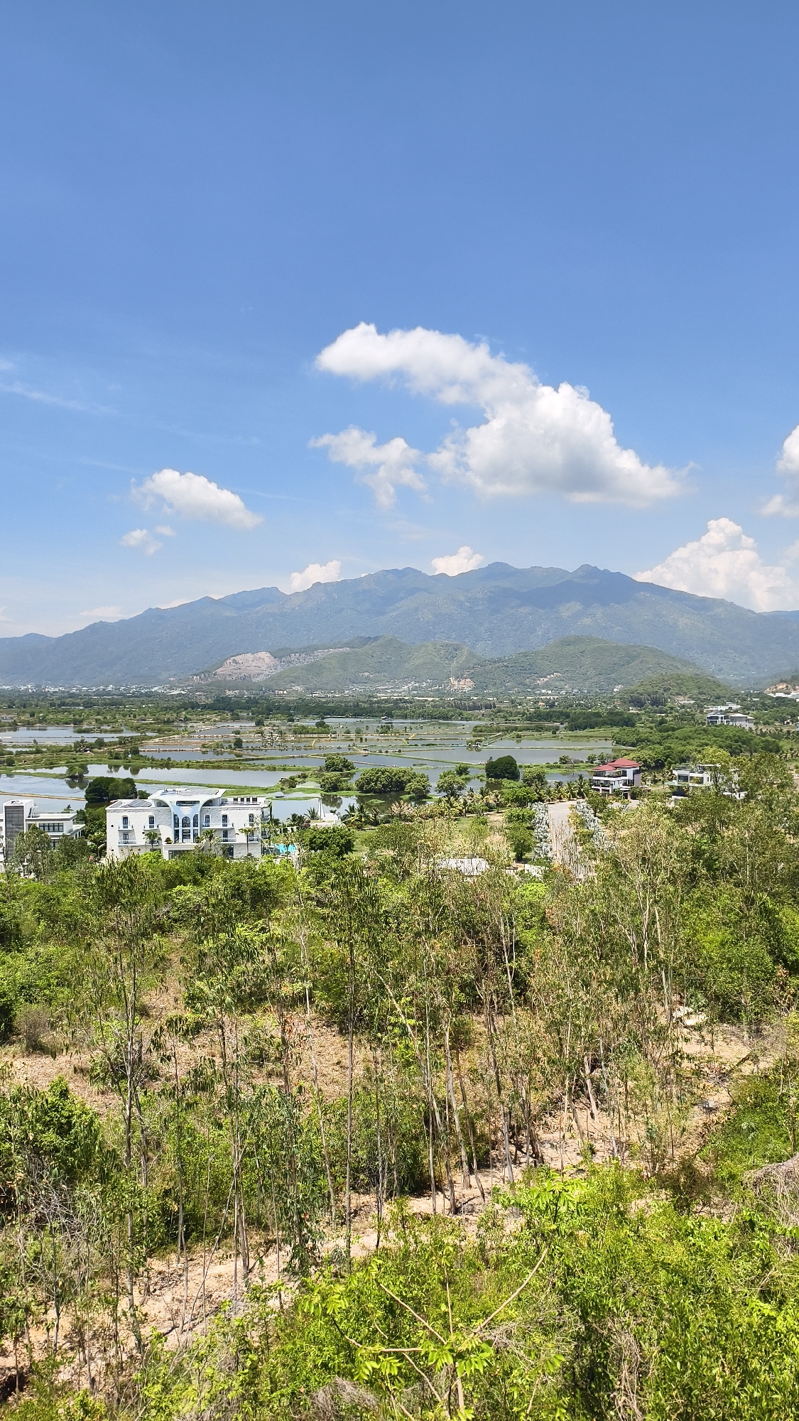 The image depicts a panoramic view of the city of Nam Nha Trang Ward, Vietnam, on a clear day with scattered clouds. In the foreground, a dense, lush green forest covers a sloping terrain. The mid-ground reveals a developed area with modern white buildings, including a large, multi-story structure with a distinctive architectural style, possibly a resort or residential complex. Adjacent to these buildings are expansive bodies of water, likely rice paddies or aquaculture ponds, reflecting the blue sky. Further in the distance, the landscape transitions into rolling green hills and culminates in a majestic mountain range that stretches across the horizon. The overall scene is a harmonious blend of natural beauty and urban development, characteristic of a coastal region. There are no people or visible animals in the image.