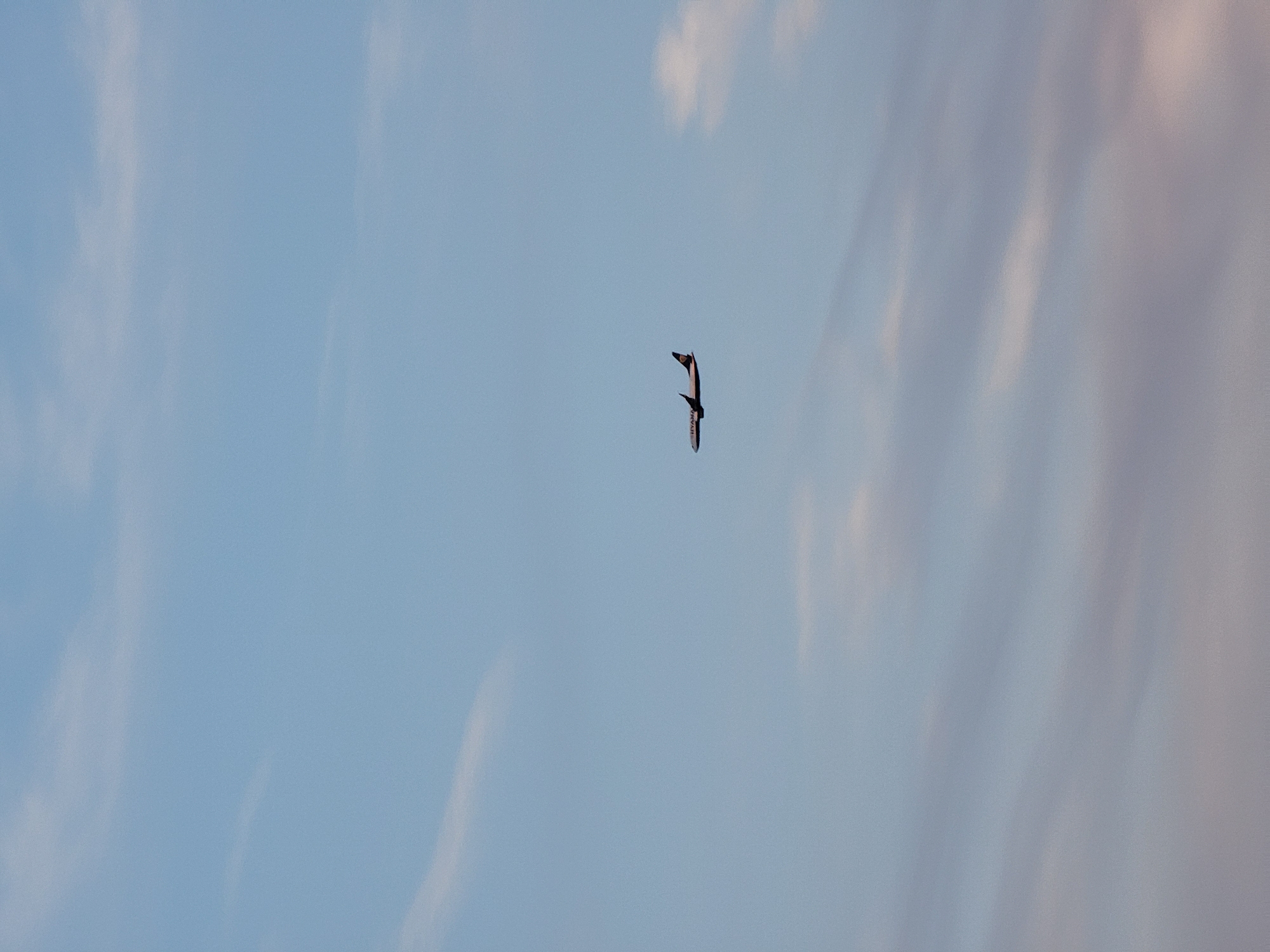An airplane, identified by the logo "RYANAIR" on its fuselage, is captured mid-flight against a backdrop of a pale blue sky with wispy clouds. The aircraft is positioned to the left of the frame, its wings extended and engines visible. The sky exhibits subtle color gradients, transitioning from a lighter blue towards the top to a softer, almost purplish hue near the bottom, indicative of either dawn or dusk. The image appears to be taken from ground level, looking upwards at the aircraft. The location is specified as Quarteira, Portugal, suggesting the airplane is flying over or near this coastal city. No people are visible in the image. The environment is purely atmospheric, with the airplane being the sole subject of interest.