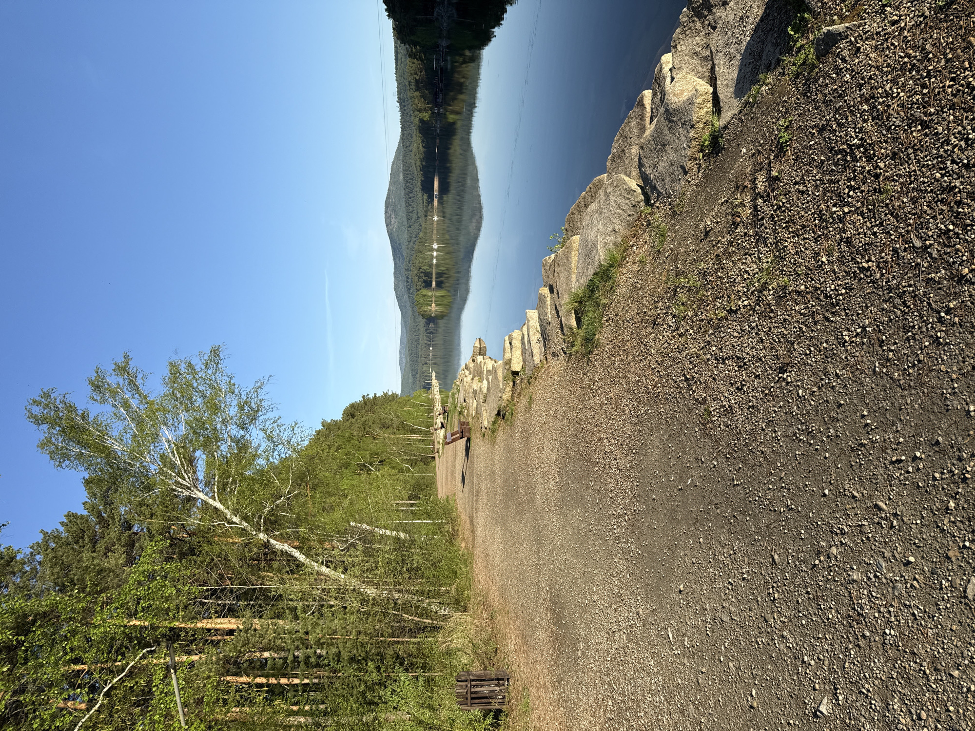 The image depicts a gravel path running alongside a body of water in Dom Otdykha Zolotoy Plyazh, Russia. The path is bordered by a rocky embankment on one side and a forest on the other. A lone birch tree with sparse green foliage stands prominently among the other trees. The water reflects the sky and the distant mountainous terrain. Power lines stretch across the body of water. There are two wooden benches along the path. The scene is bathed in sunlight.