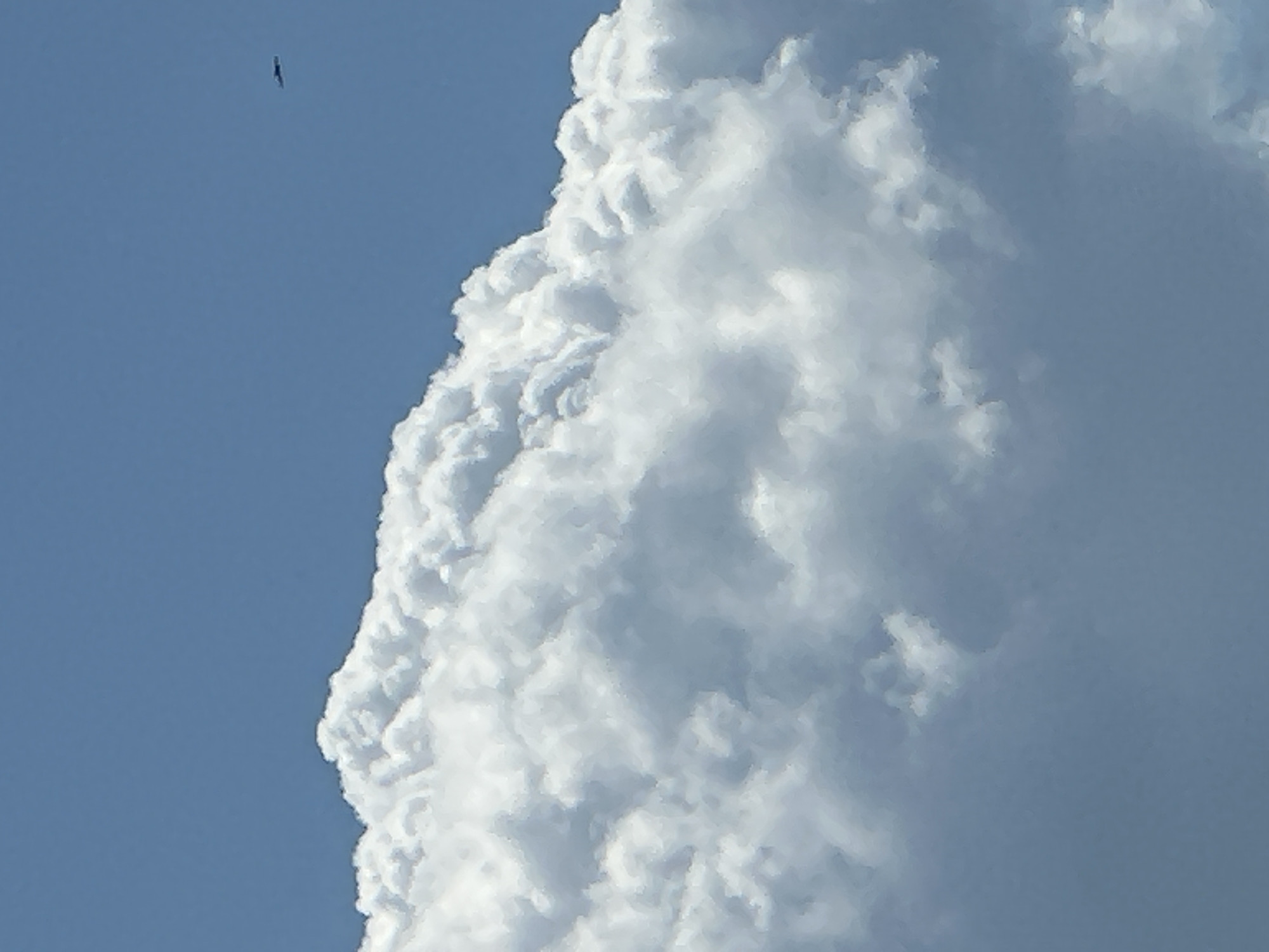 The image depicts an expansive daytime sky over Unknown, Unknown. A large, dense formation of cumulus clouds occupies the lower two-thirds of the frame. The cloud tops are bright white and textured, indicative of direct sunlight, with shadowed, muted gray areas present within and beneath the main mass. The upper portion of the sky is a clear, medium blue. In the upper right quadrant, a dark, silhouetted aircraft is observed. The object is horizontally oriented with discernible wings, suggesting a fixed-wing airplane, and is positioned against the blue sky, well above the cloud line. No other objects or subjects are present.