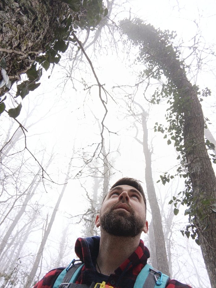 A low-angle image depicts a male individual looking upwards in a foggy forest located in Гурзуфский поселковый совет, Ukraine. The man, positioned in the lower frame, has a dark beard and dark hair. He is wearing a red and black plaid shirt over a dark blue hooded garment. A light blue backpack or harness with a blue and a yellow-green carabiner attached is visible on his shoulders. Tall tree trunks and numerous bare branches of deciduous trees extend upwards into the heavily diffused, misty sky. Green ivy foliage clings to the trunks of trees in the foreground, notably on the left and right sides of the image. The environment is characterized by dense fog, obscuring distant vegetation and creating a desaturated visual field.