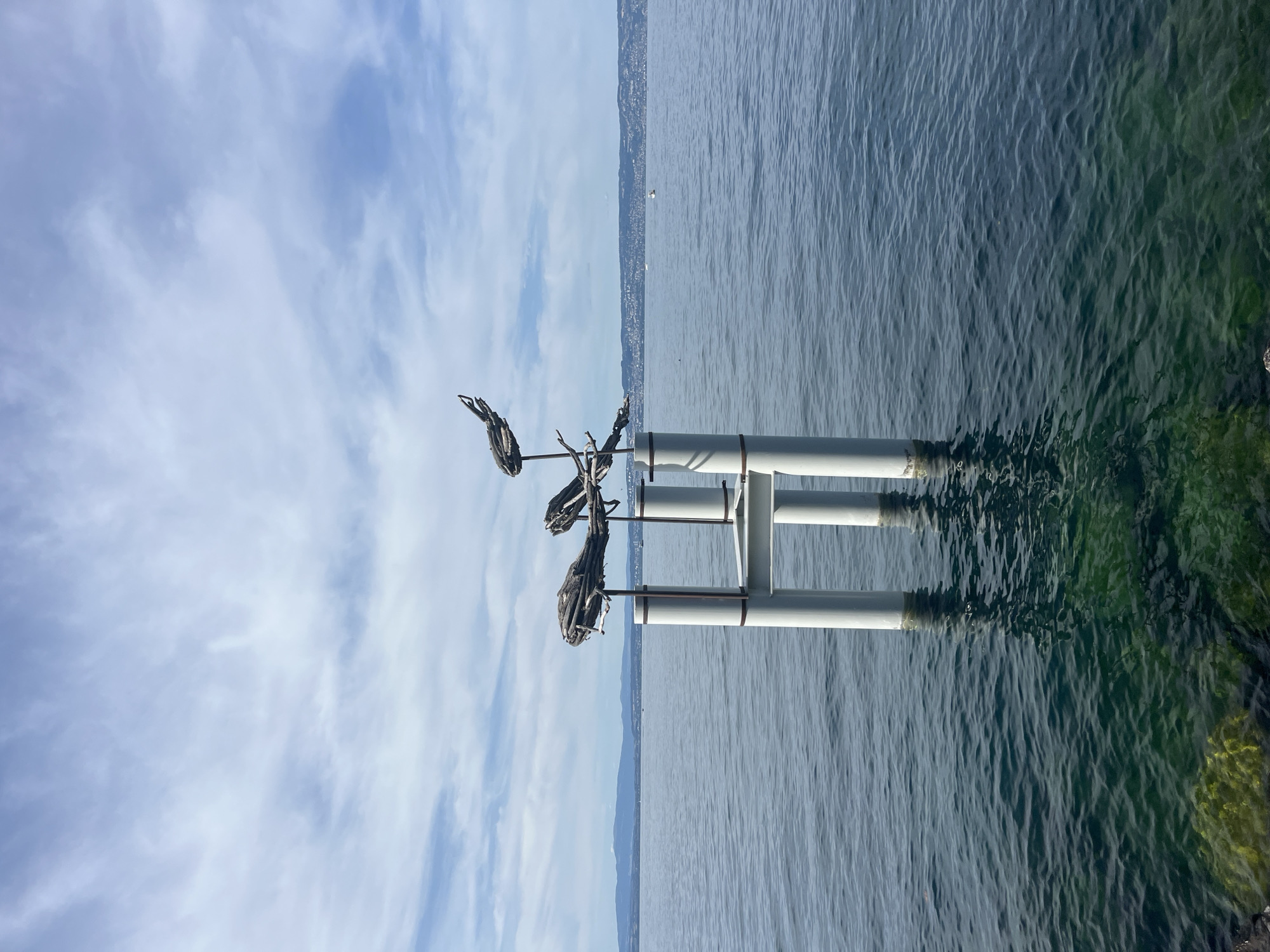 A sculpture made of driftwood resembling stylized fish is mounted on a white, multi-legged structure in Lake Geneva. The sculpture is positioned in the foreground, with the lake extending to the horizon. In the distance, a hazy shoreline with hills and buildings is visible. The sky above is partly cloudy with scattered white clouds against a pale blue background. The water in the lake is a deep blue-green, with sunlight reflecting off its surface and the submerged legs of the structure casting shadows. The scene appears to be in a public area, likely a waterfront park or promenade, and suggests a calm, breezy day. The specific location in Évian-les-Bains, France, would be the lakefront where such public art installations are typically found.