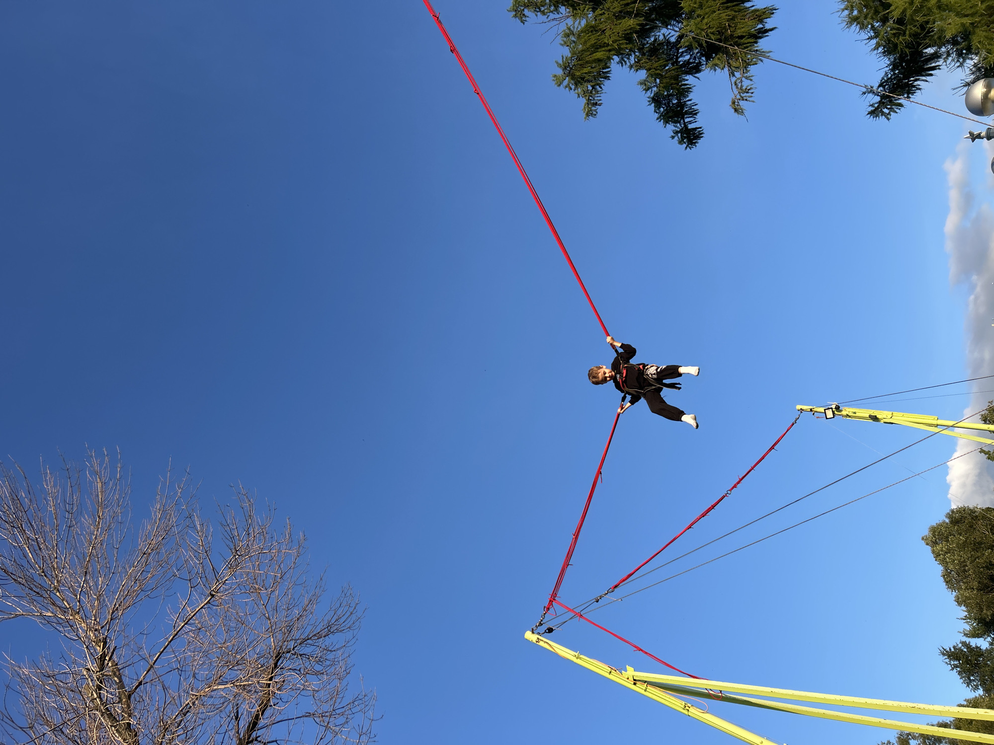 A young person is captured mid-air, suspended by red bungee cords as part of a thrilling amusement park ride. They are wearing a black outfit with white accents and white socks, their body positioned horizontally. The scene is set against a vibrant, clear blue sky, indicating it's a sunny day, likely daytime given the bright illumination.
The ride itself is constructed with yellow metal supports and multiple red cords, suggesting a high-energy activity. In the background, the tops of green pine trees and a bare deciduous tree are visible, hinting at an outdoor location, possibly a park or recreational area. The orientation of the photo is unusual, with the subjects and ride elements angled upwards, as if the camera was looking directly up from the ground.
While no specific text is visible on the person or the ride, the overall impression is one of exhilaration and adventure. The clear sky and bright sunlight contribute to a positive and energetic atmosphere. The context of Novokuybyshevsk, Russia, places this scene in a specific geographical location, though the visual cues are more general to any outdoor amusement park. The activity is clearly a form of extreme sport or amusement ride designed to give participants a sensation of flight.
