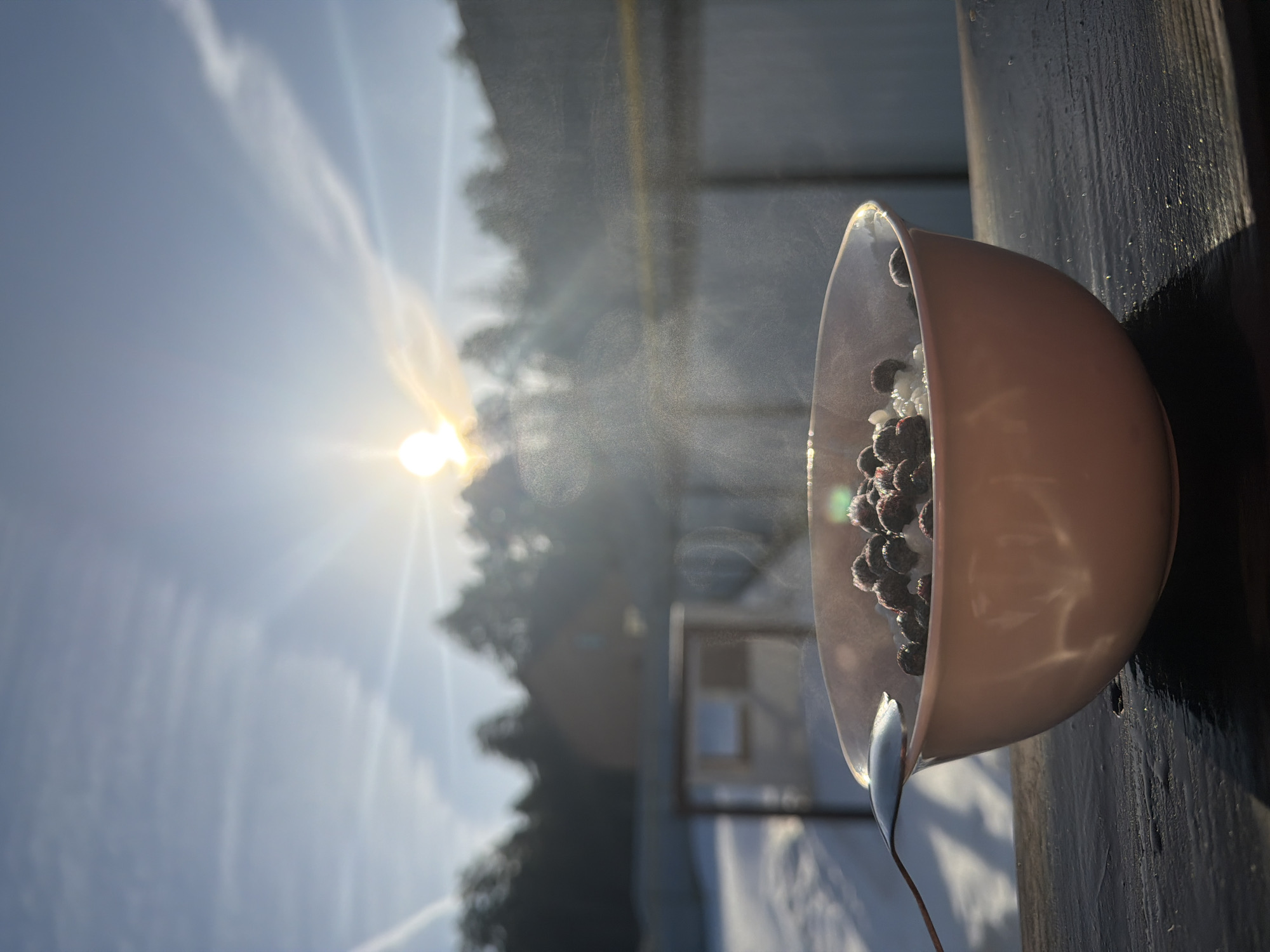 The image shows a bowl containing berries, possibly blueberries or elderberries, along with some white granular substance, likely sugar or frost. A spoon rests inside the bowl. The bowl is positioned against a dark, textured vertical surface, possibly a wooden post. The background reveals a bright, hazy outdoor scene with the sun shining through trees. The location appears to be Chaikovsky, Russia, judging by the landscape and architectural style. The scene suggests a cold climate, with possible snow visible in the blurred background. There are no people visible in the image. The primary subject is the bowl of berries and the spoon, emphasizing the potential for a meal or snack in a rustic setting.