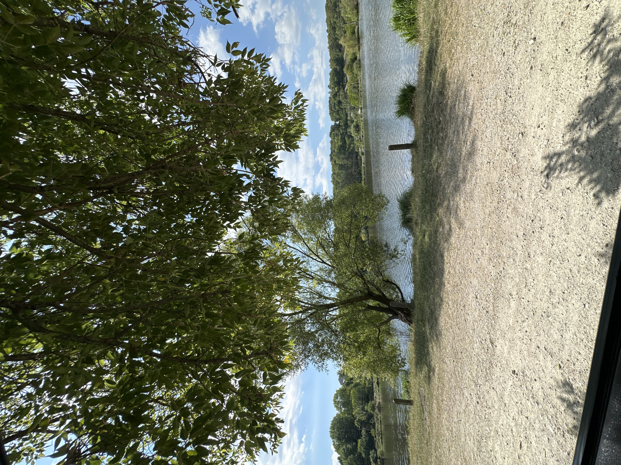 The image depicts a natural scene beside a body of water. In the foreground, a gravelly path is visible, with shadows cast from an overhead canopy of green leaves. A single tree with green foliage stands on the bank of the water, leaning slightly towards the lake. The lake itself is calm with small ripples on its surface, reflecting the blue sky dotted with white clouds. The far bank of the lake is lined with dense green trees. Wooden posts are present along the edge of the water. The overall impression is a tranquil outdoor setting, likely a park or recreational area. The location is identified as being in the city of Makiv, Ukraine.