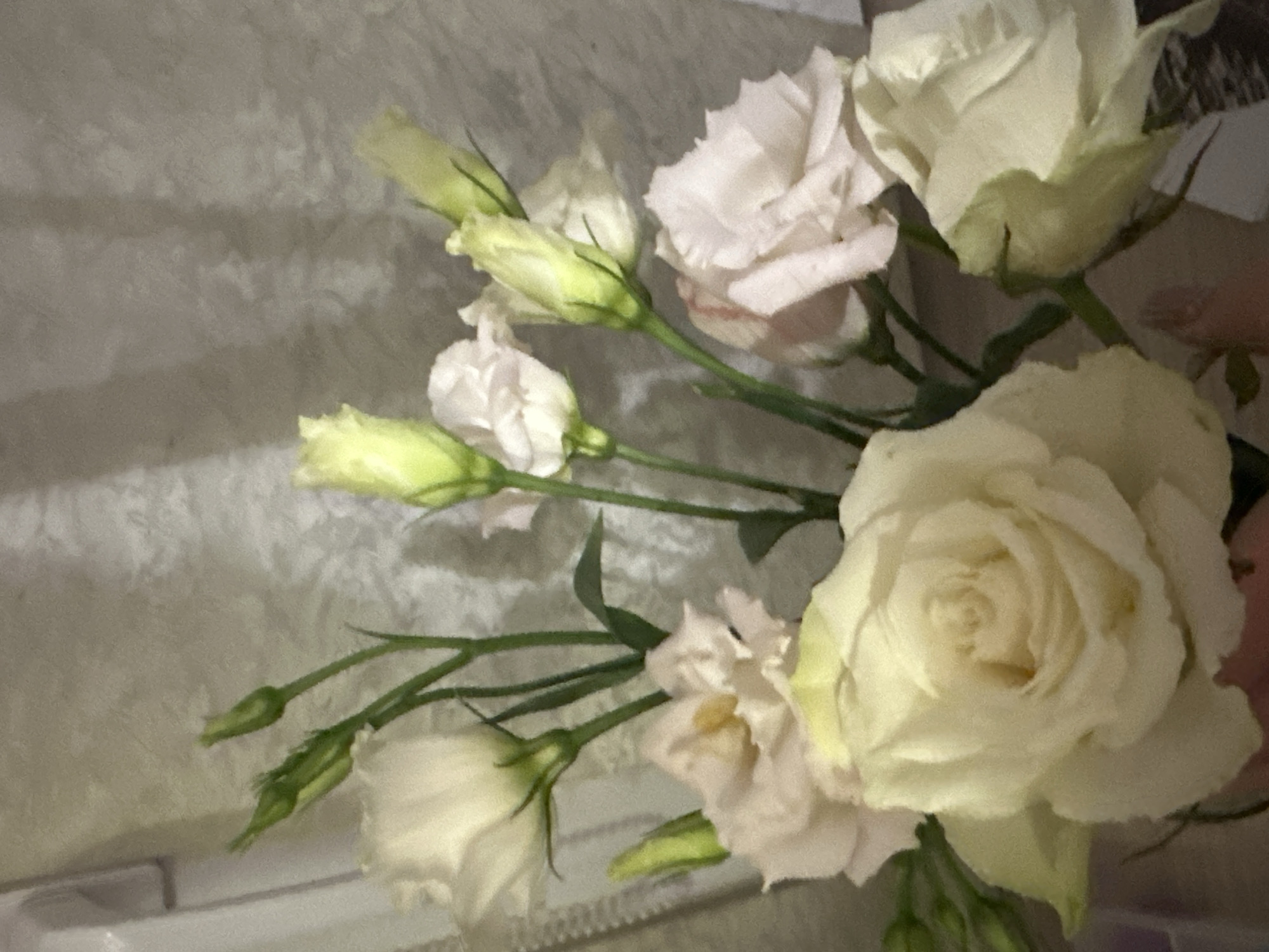 The image shows a close-up of a bouquet of light-colored flowers, likely roses or eustomas, against a textured, light-colored background. Some flowers are in full bloom, while others are still in bud. The lighting is soft, and the focus is on the floral arrangement. There are no people, animals, or discernible elements of a specific urban environment like Petropavlovsk-Kamchatsky, Russia. The scene is static and appears to be an indoor still life.