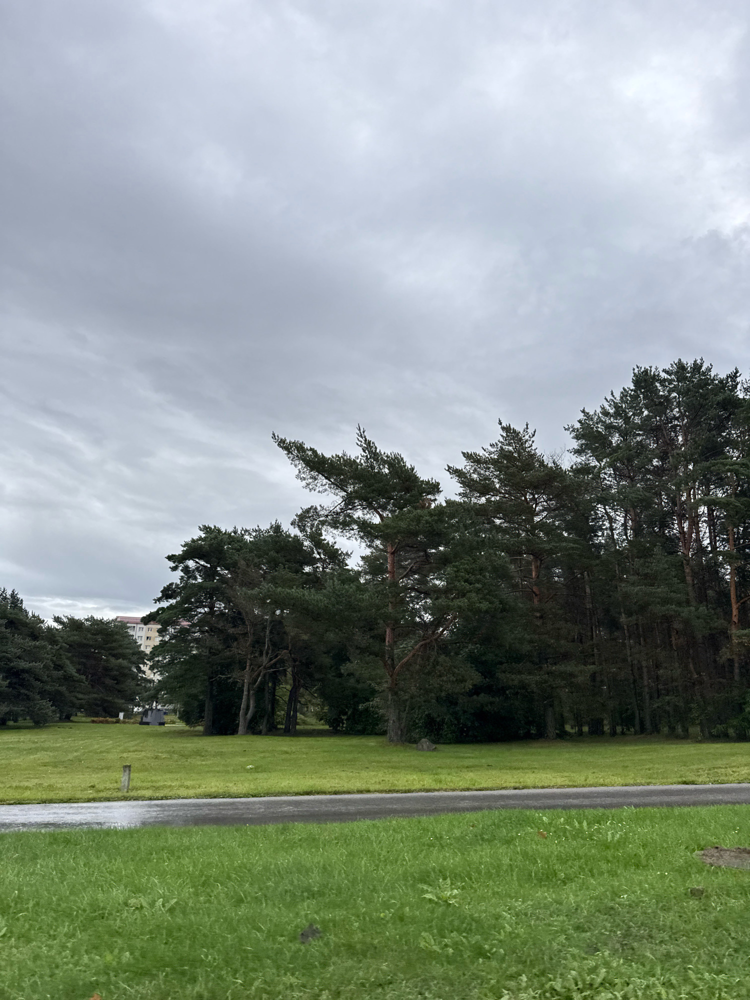 The image depicts an overcast sky over a park-like setting with tall coniferous trees and a residential building in the background. The ground is covered in green grass, and there is a paved path or road running through the middle of the scene, appearing wet in places. The overall atmosphere is subdued, consistent with a cloudy day. The location is identified as Tallinn, Estonia. There are no people or animals visible in the image.