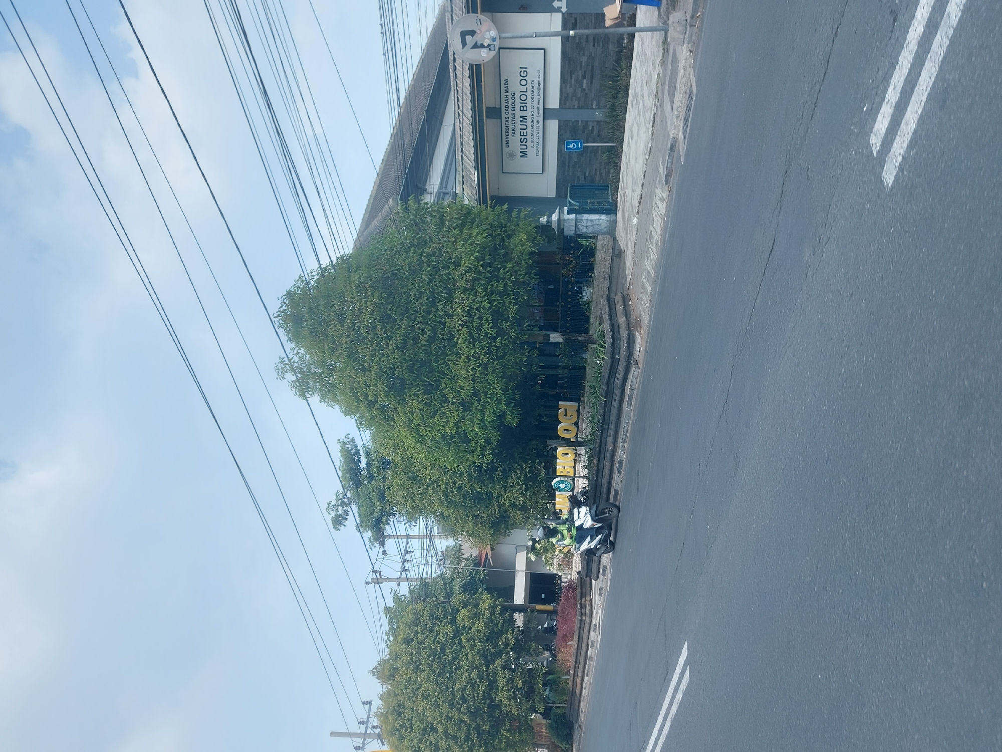 The image shows a street scene in Yogyakarta, Indonesia, with the Museum Biologi visible. The museum has a prominent sign that reads "UNIVERSITAS GADJAH MADA FAKULTAS BIOLOGI MUSEUM BIOLOGI". Underneath the main title, the address is listed as "JL. SULTAN AGUNG NO. 22 YOGYAKARTA". The museum appears to be a building with a light-colored facade and a grey tiled roof. It is flanked by lush green trees. In front of the museum, a person wearing a reflective vest is riding a white motorcycle. The street in the foreground is asphalt with white lane markings. Overhead, electrical wires are visible against a pale blue sky with some clouds. The overall environment suggests a sunny day in an urban setting.