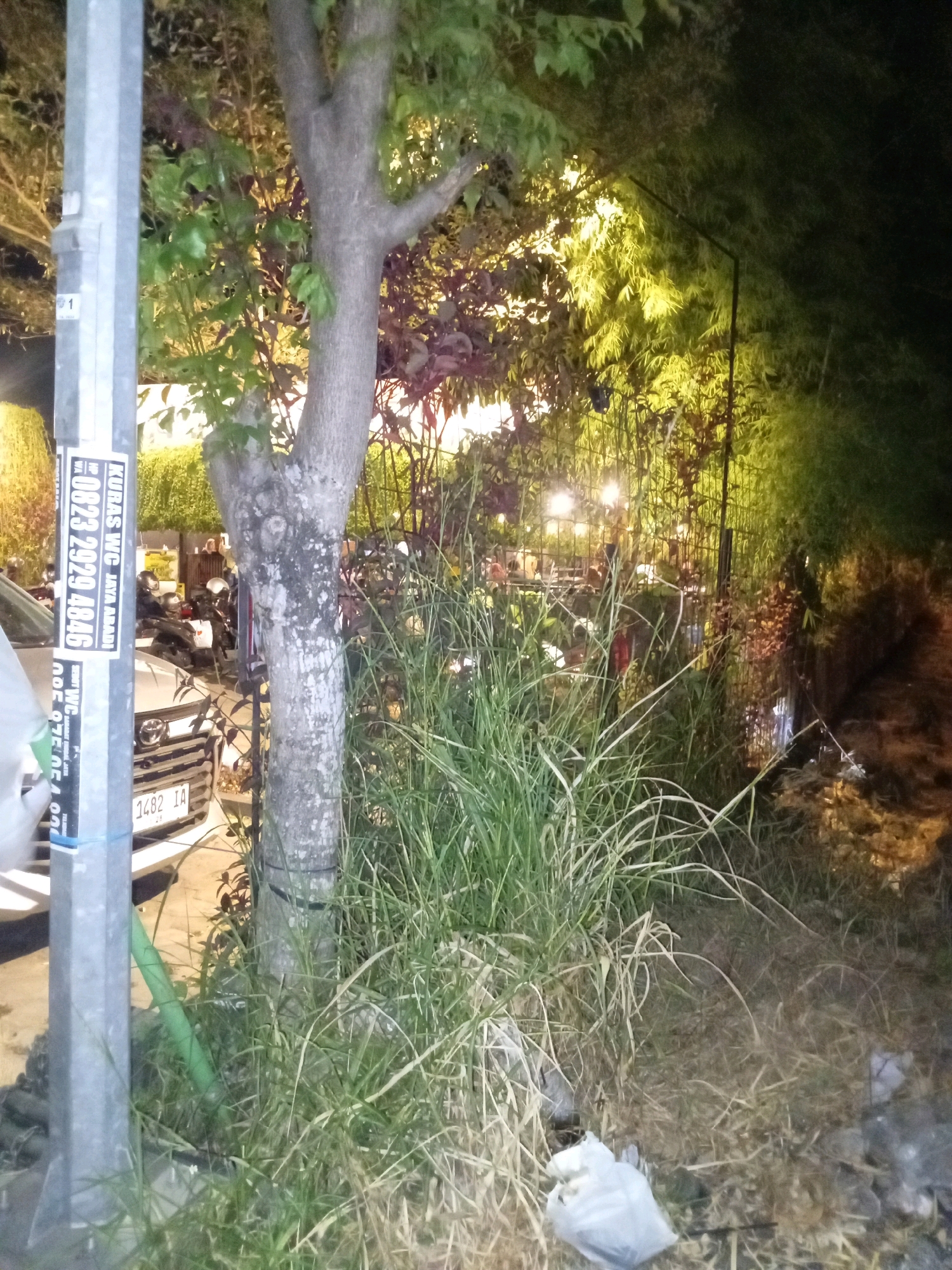 The image depicts an outdoor scene at night, possibly in Singocandi, Indonesia. A lamppost stands on the left side of the frame, with several stickers attached to it. One sticker prominently displays a phone number: "0823 2929 4846" and text that appears to be "KURAS WC JAYA ABADI". Below this, another sticker contains the text "NOF 975 05A 00". A portion of a light-colored car is visible in the foreground, with a license plate that reads "1482 IA". Behind the car, several motorcycles with riders wearing helmets are parked. A slender tree trunk is positioned near the center of the image, with branches and foliage extending upwards and to the right. The background is filled with lush greenery, including tall grass and bamboo-like stalks, illuminated by warm lighting from an unseen source, suggesting a garden or park area. There is some trash scattered on the ground in the lower right portion of the image.