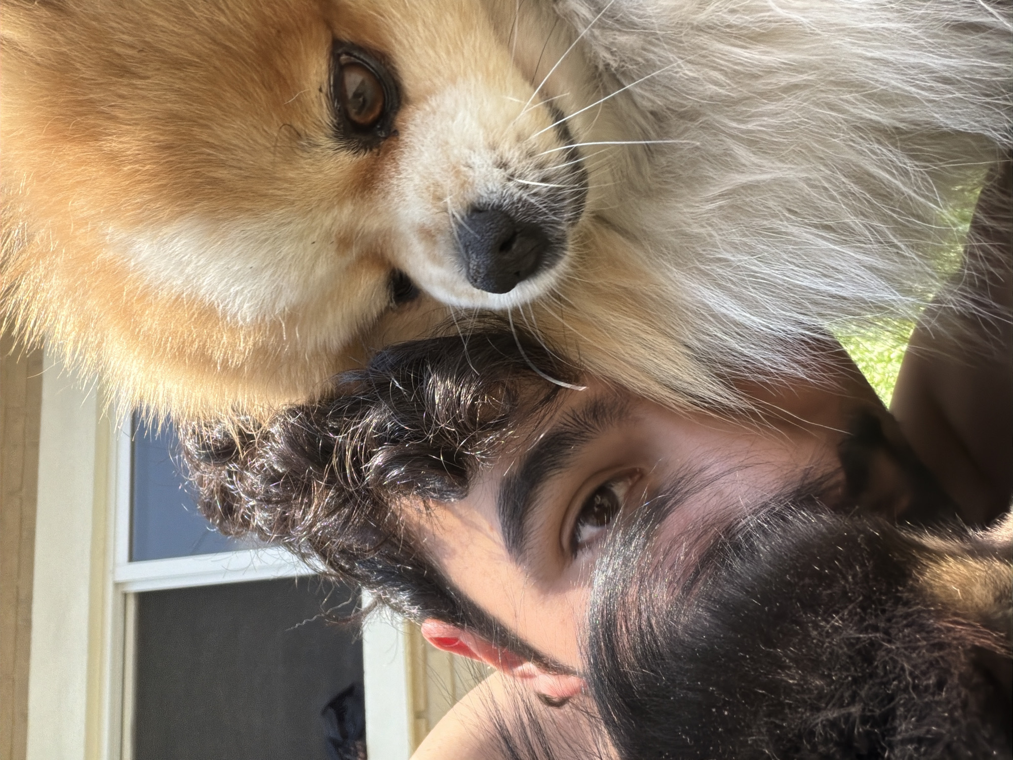 A close-up photograph shows a man and a dog in an outdoor setting. The man has curly brown hair, a visible brown eye, and fair skin. A tan and white dog is positioned above the man's head, with its face visible. The dog's nose is black, and its eye is brown. A window is visible in the background, suggesting a location near or inside a building. The specific location within the city of Cuautla, Mexico, is not discernible from the given image.