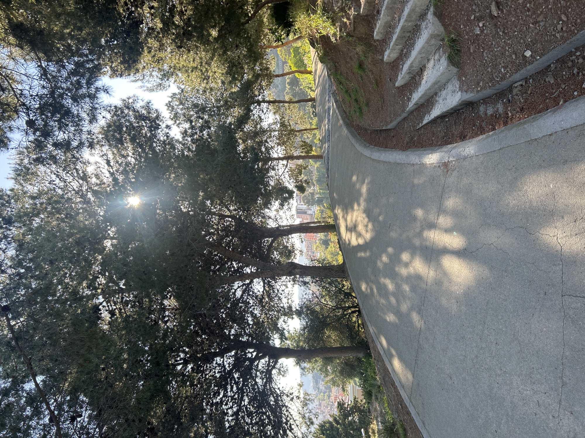 The image shows a paved pathway winding through a park-like setting. Trees with dense foliage line the left side of the path, casting shadows across the pavement. Sunlight filters through the trees. A low concrete curb defines the edge of the path on the right. Adjacent to the curb are rough steps leading up a gentle slope. The background shows a glimpse of a city and possibly the sea. Based on the location, this appears to be along a path in Montjuïc in Barcelona, Spain.