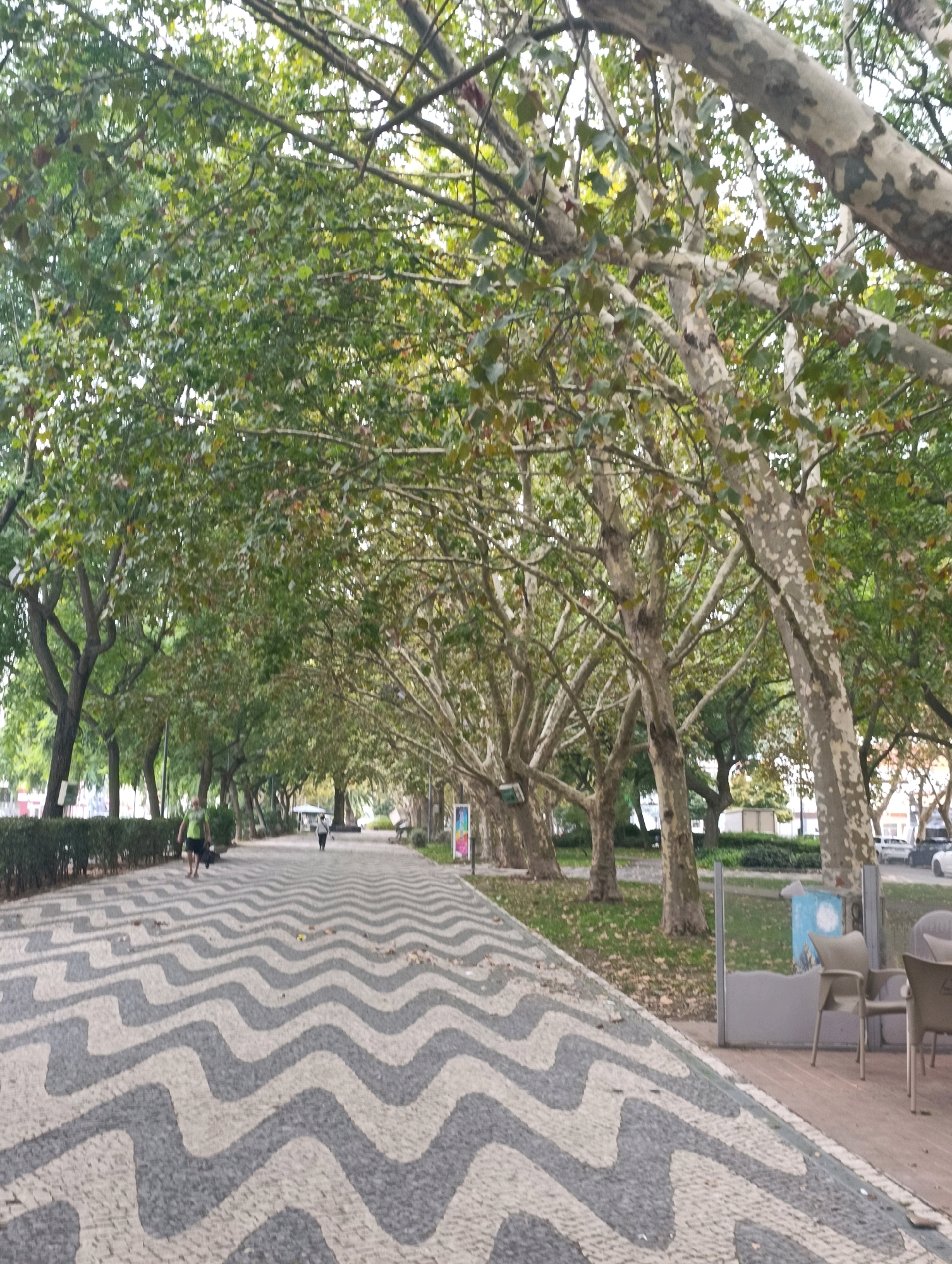 The image depicts a wide, wavy-patterned sidewalk in Setúbal, Portugal, flanked by trees and bordering a park. In the foreground, two men are walking along the sidewalk. One man, wearing a green t-shirt and black shorts, is closer to the camera, walking away from it. A second man, wearing dark clothing, is further down the sidewalk, also walking away. The trees, primarily plane trees with mottled bark, create a canopy overhead, casting dappled shade on the path. To the right of the sidewalk, there is an area with tables and chairs, suggesting an outdoor seating area for a cafe or restaurant. The background includes more trees, greenery, and some buildings and parked cars in the distance. The sky is overcast.