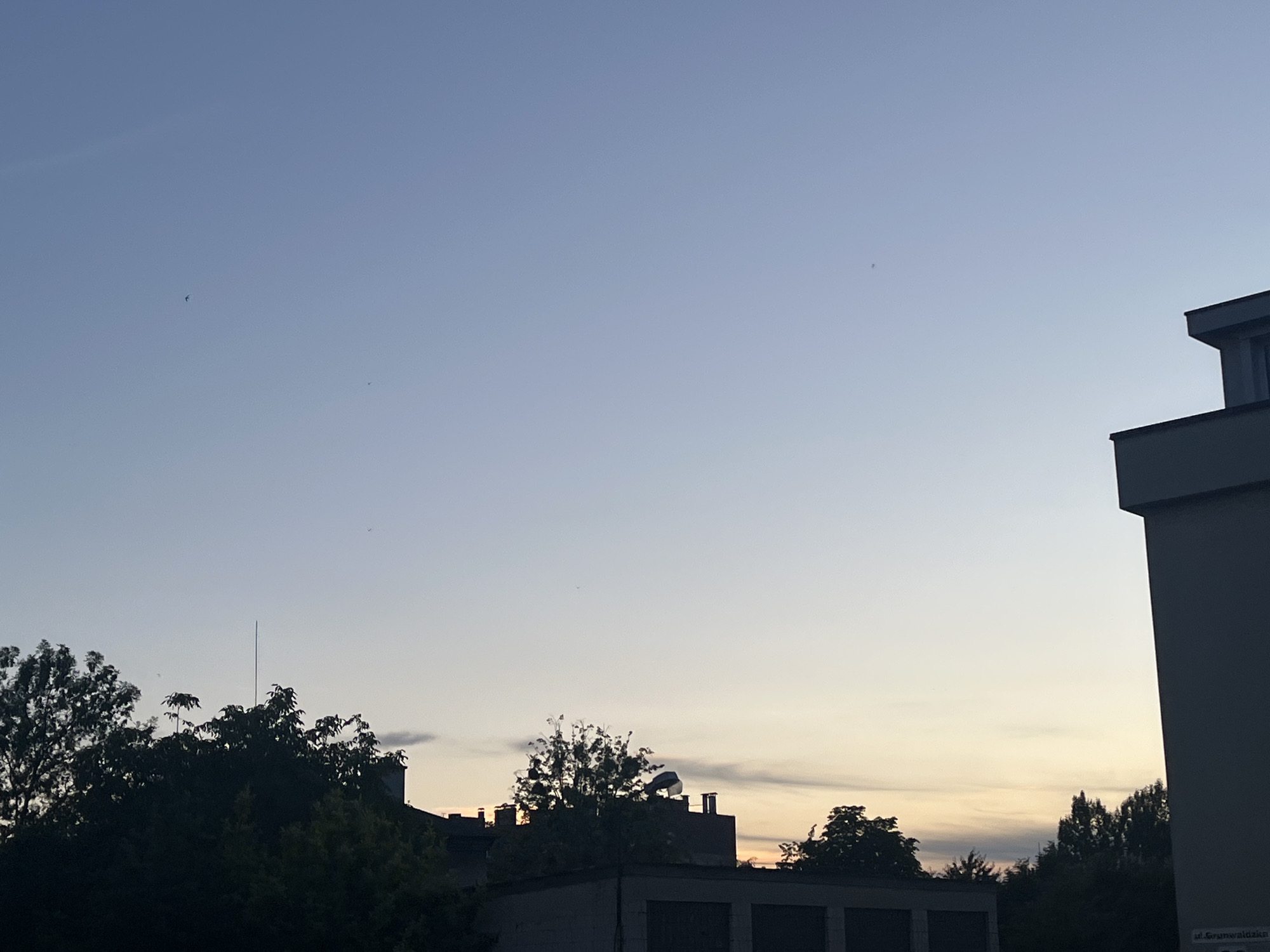 A daytime, outdoor, eye-level, wide shot captures a dusk sky with a pale blue gradient fading into a soft yellow-orange horizon. The upper portion of the frame is dominated by the vast expanse of the sky, with faint traces of clouds and a few tiny specks that may be birds. In the lower third of the image, the silhouettes of trees and building rooftops are visible against the lighter sky. On the right side, a modern building with a dark gray facade and sharp architectural lines is partially cropped into the frame. The building features a window and a section of its roofline. On the left and center, a dense line of trees with dark green foliage forms a silhouette. Among the trees, a tall, thin antenna or spire rises vertically. The rooftops of several buildings are discernible, some with visible chimneys and satellite dishes. The overall scene depicts an urban or suburban environment at the transition from day to night.