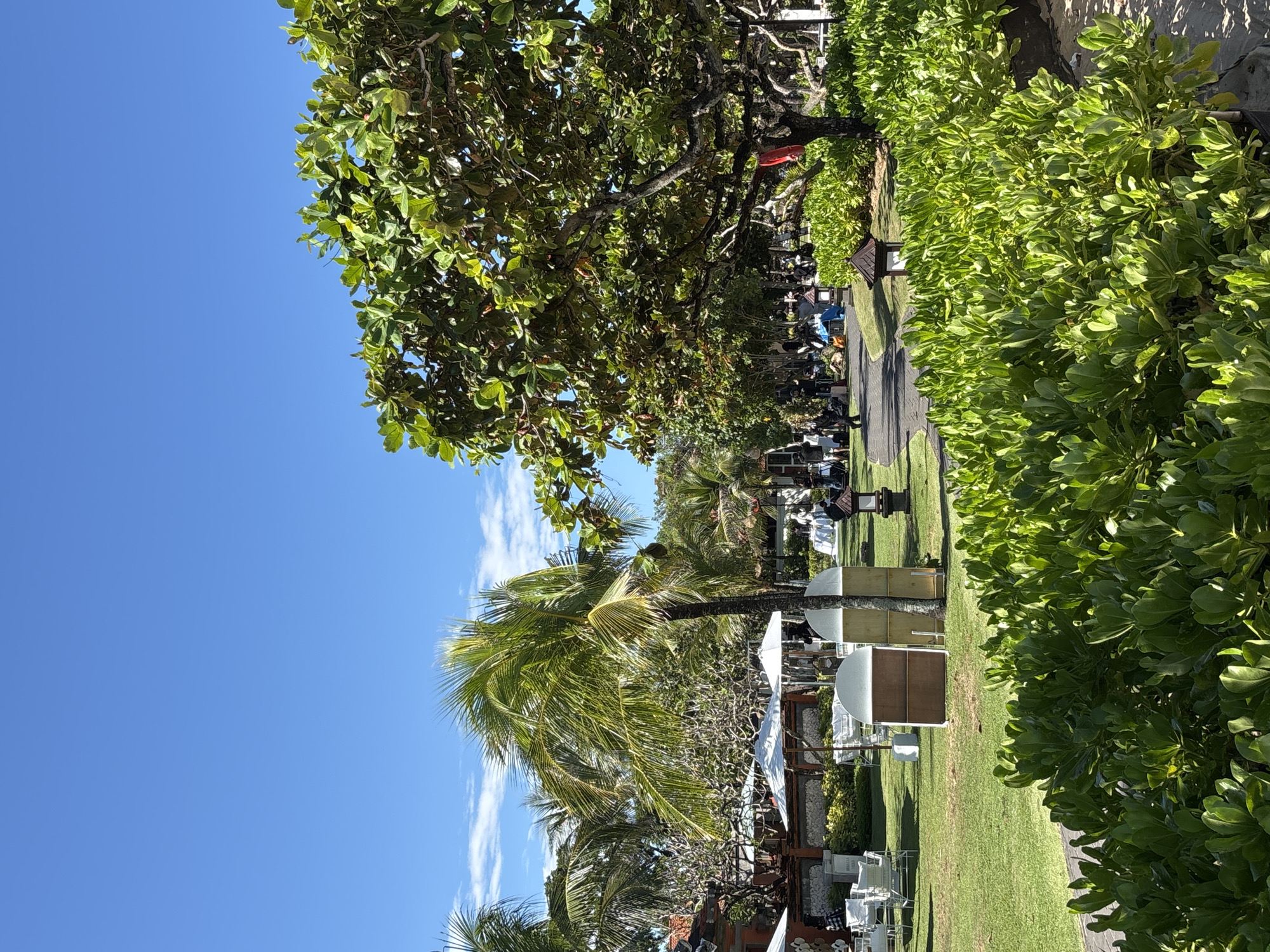 The image depicts an outdoor scene in Nusa Dua, Indonesia, characterized by a clear blue sky, lush greenery, and what appears to be a wedding or event setup.
The foreground features dense bushes with rounded, green leaves along a paved pathway. Beyond the path is a well-maintained grassy area. Further into the scene, there are rows of white chairs and tables, covered with white linens, suggesting a formal event setting. These are partially shaded by palm trees and white canopies.
In the background, the image reveals a gathering of people, mostly obscured by the foliage, hinting at the ongoing event. There are also structures and decorative elements indicative of a landscaped resort or beachside venue, including lanterns and what seem to be traditional Balinese decorations.