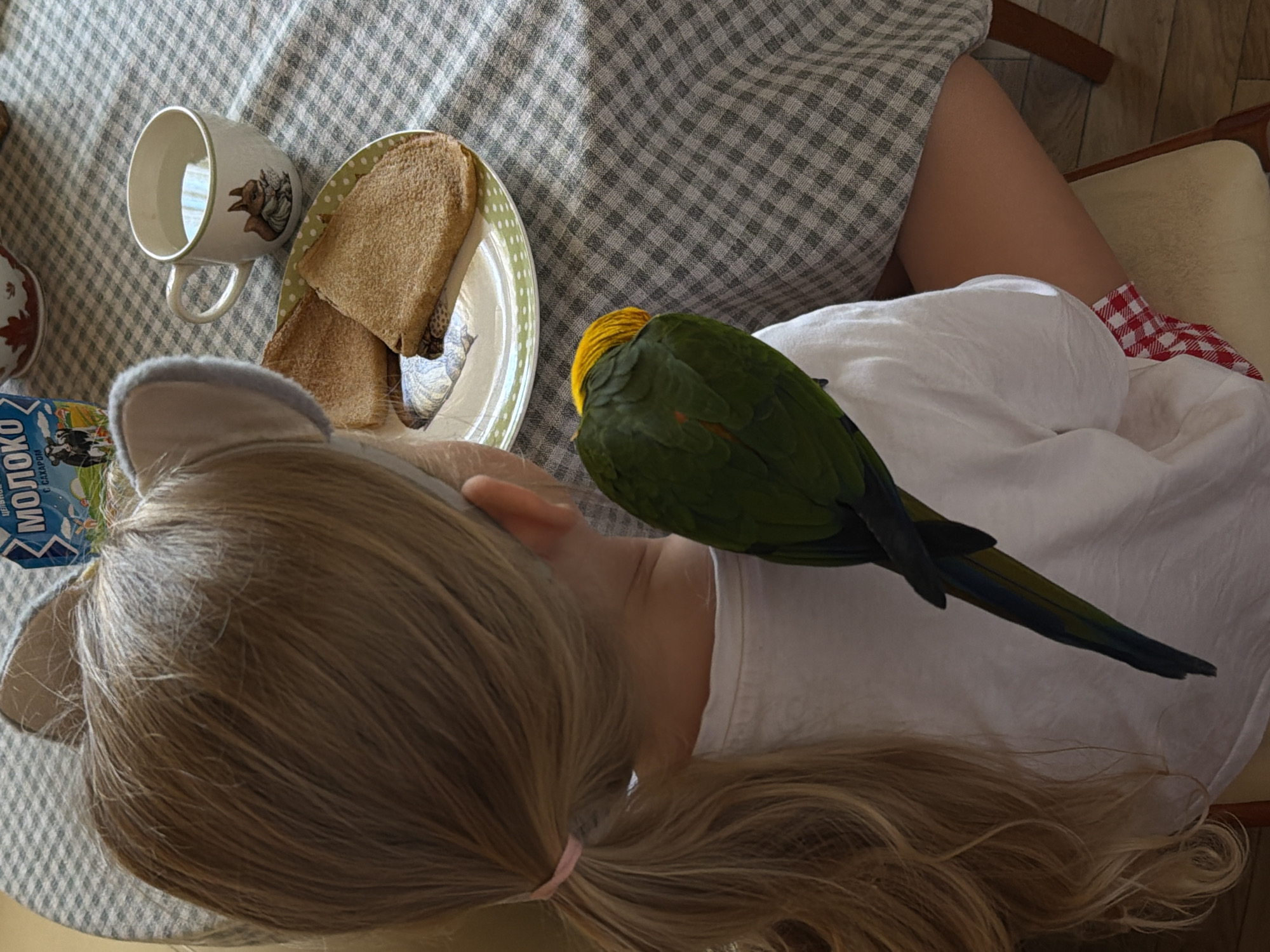 A young girl with blonde hair, wearing a white shirt and cat ear headband, lies on her side with a green and yellow parrot perched on her shoulder. The girl appears to be resting or sleeping, with her eyes closed. The parrot is facing away from the camera, with its head tucked into its chest. In the background, there is a checkered tablecloth, a white mug with a rabbit illustration, a plate with two pieces of toast, and a carton of milk. The setting appears to be indoors, possibly during breakfast or a snack time. The overall mood is peaceful and intimate, suggesting a close bond between the girl and the bird. The visible text on the milk carton reads "МОЛОКО" (Moloko), which means "milk" in Russian. The location context is provided as Khimki, Russia.