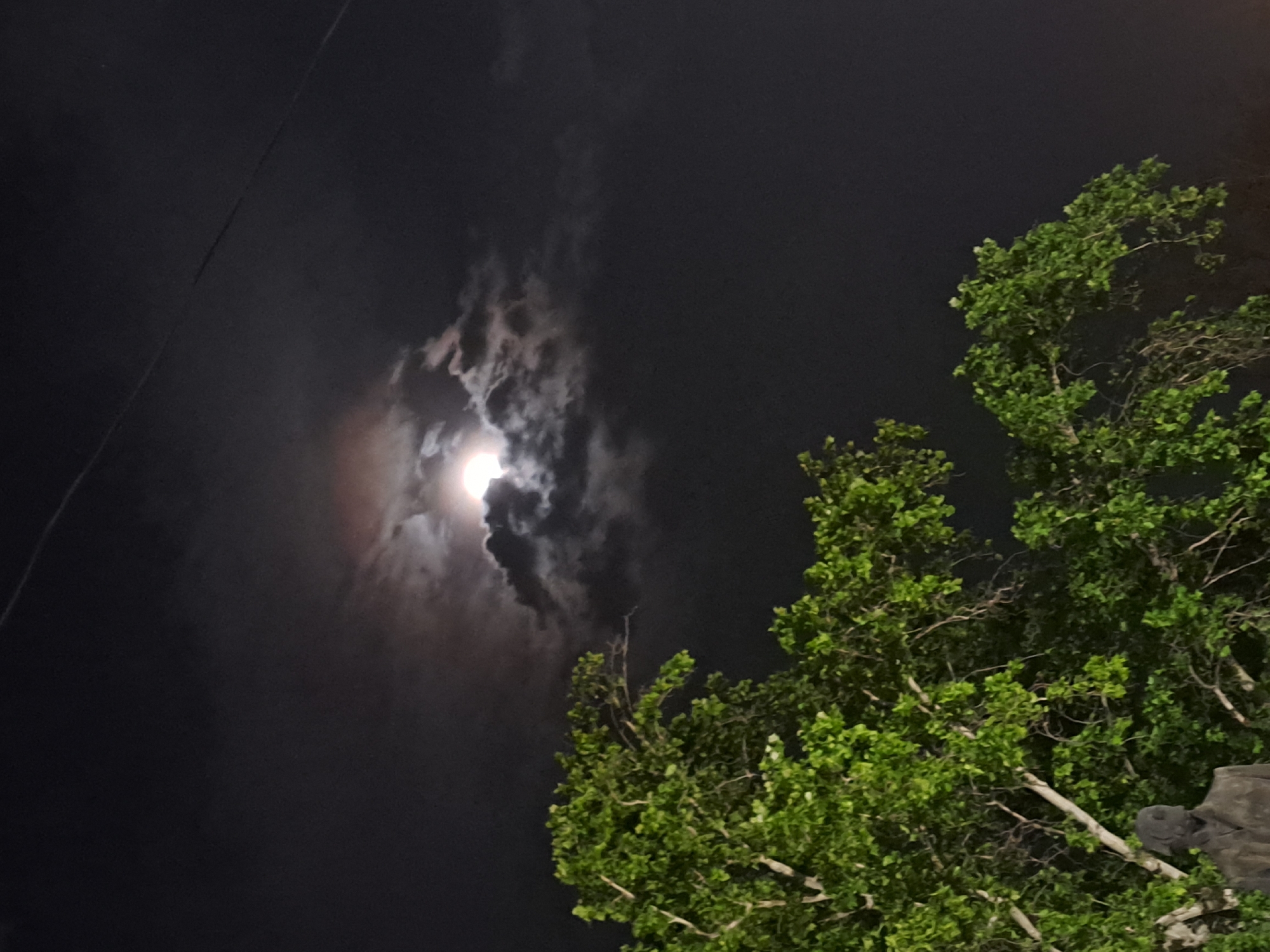 The image depicts a night scene in Yerevan, Armenia. A full moon is partially obscured by thin, dark clouds, casting a faint reddish glow. A tree with vibrant green foliage occupies the right side of the frame. A power line stretches across the upper left corner of the image. The overall scene is dark.
