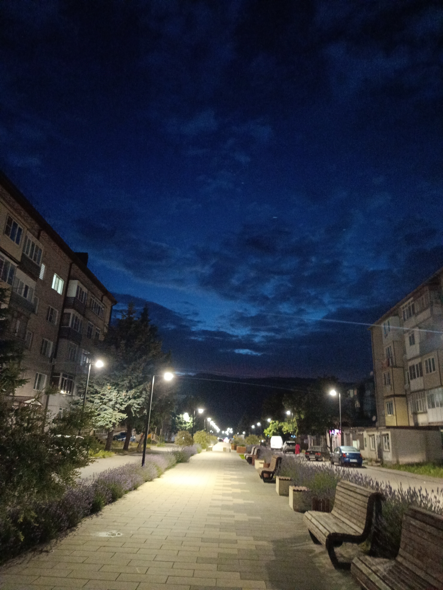 This is a vertical, eye-level, medium shot of a pedestrian walkway in a city at dusk. The sky is a deep blue with scattered clouds, and the streetlights are illuminated. On the left side of the walkway are low-rise apartment buildings, and on the right are similar buildings. The walkway is paved with light-colored bricks and lined with benches and planters filled with lavender. Several cars are parked along the street. The image is dark, suggesting it was taken at night or during twilight. There are no people visible in the scene.